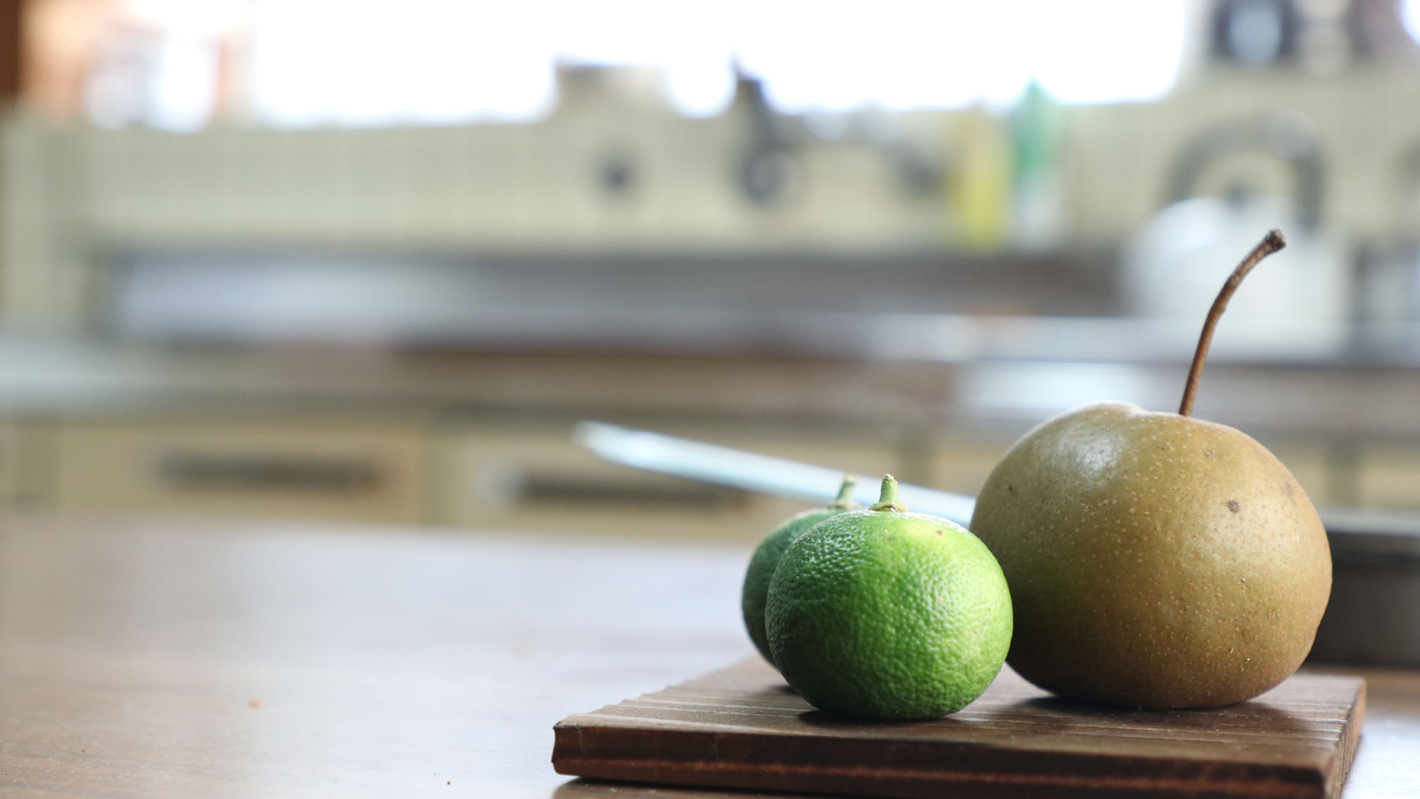 【向かい館内イメージ】*