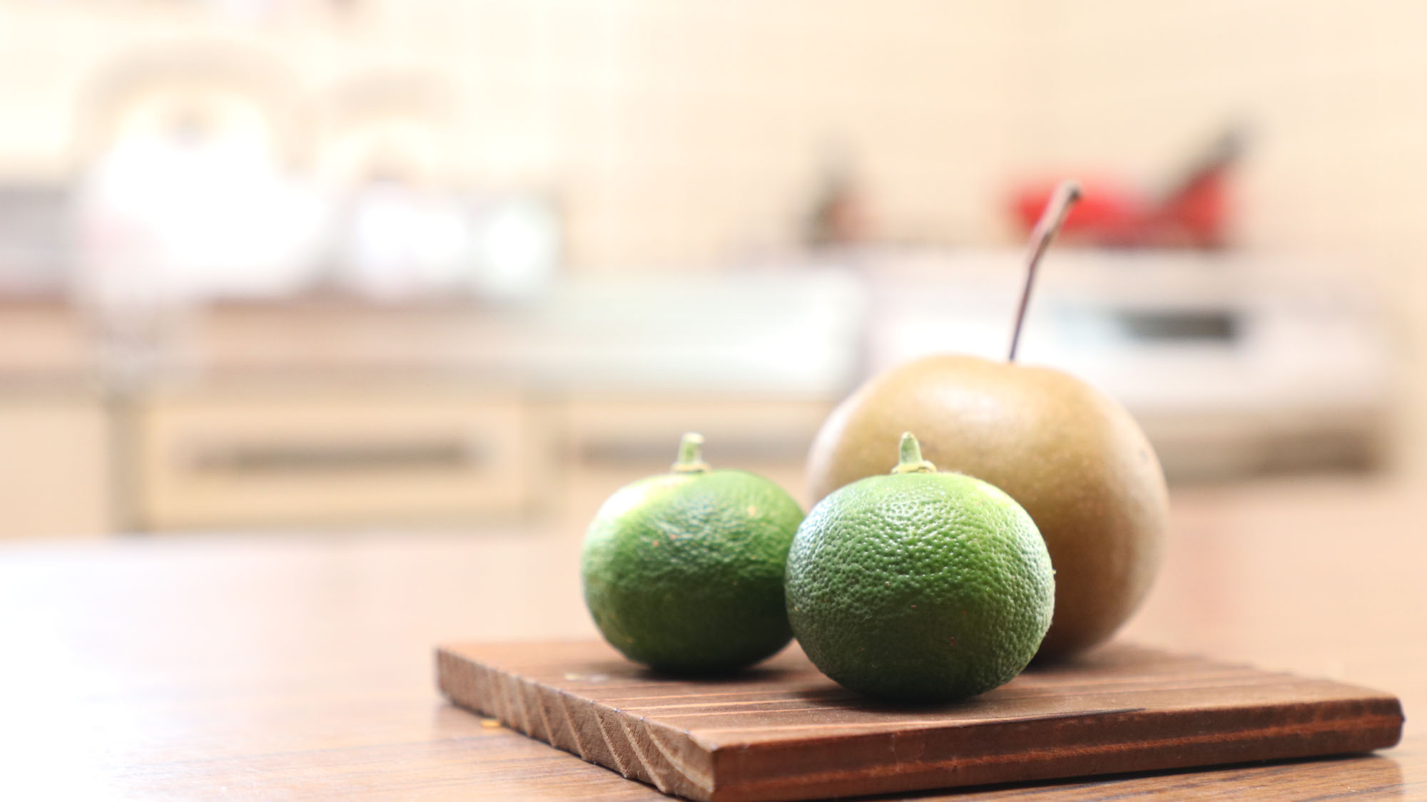 【向かい館内イメージ】*