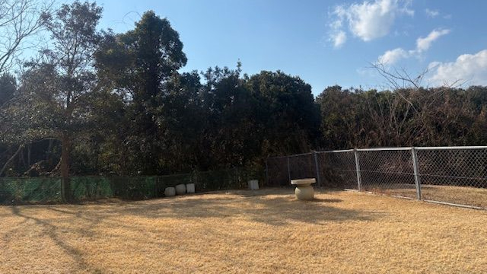 【ドッグラン】晴れた日は特に気持ちよくご利用いただけます♪