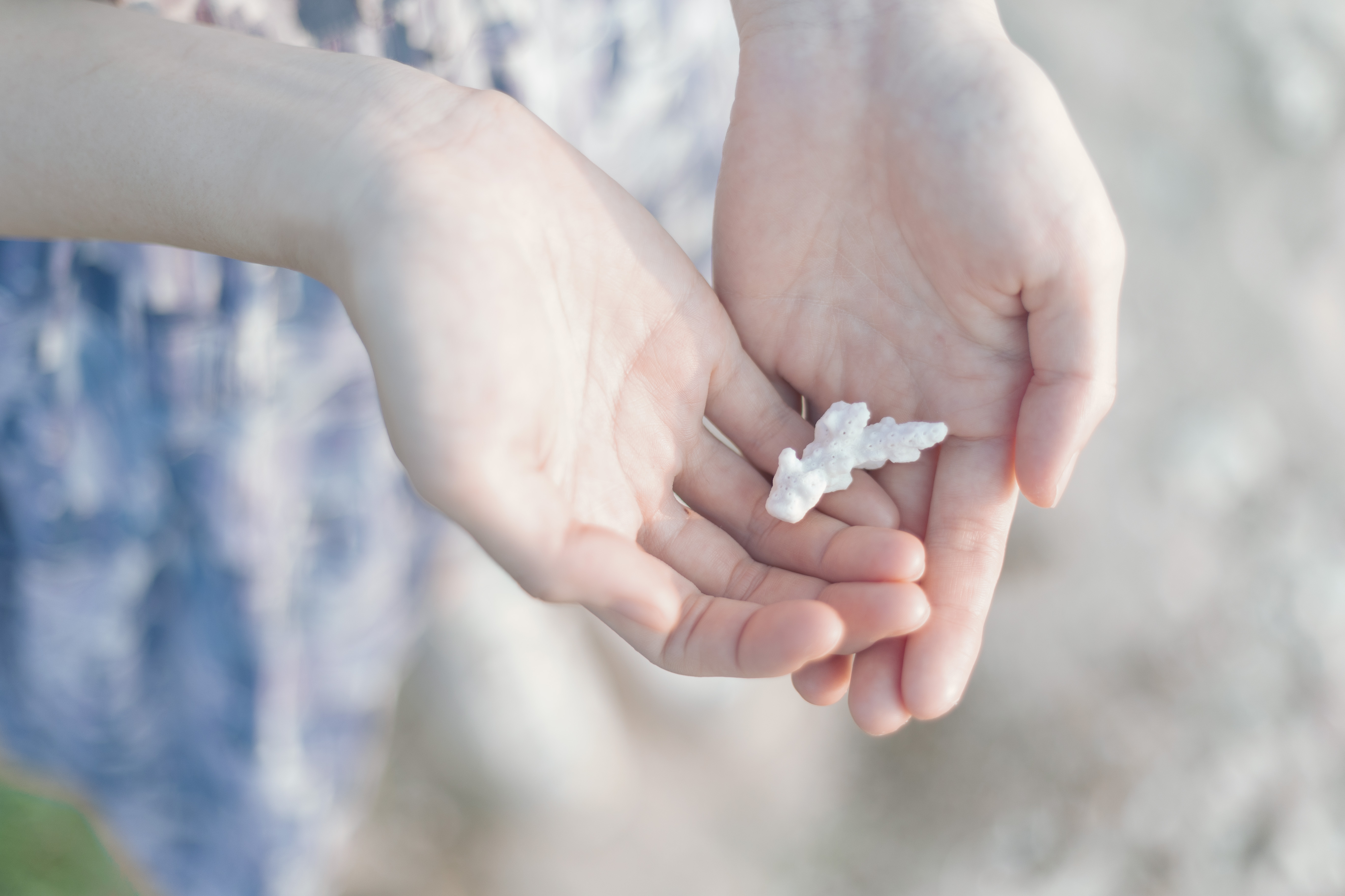 海でのひととき