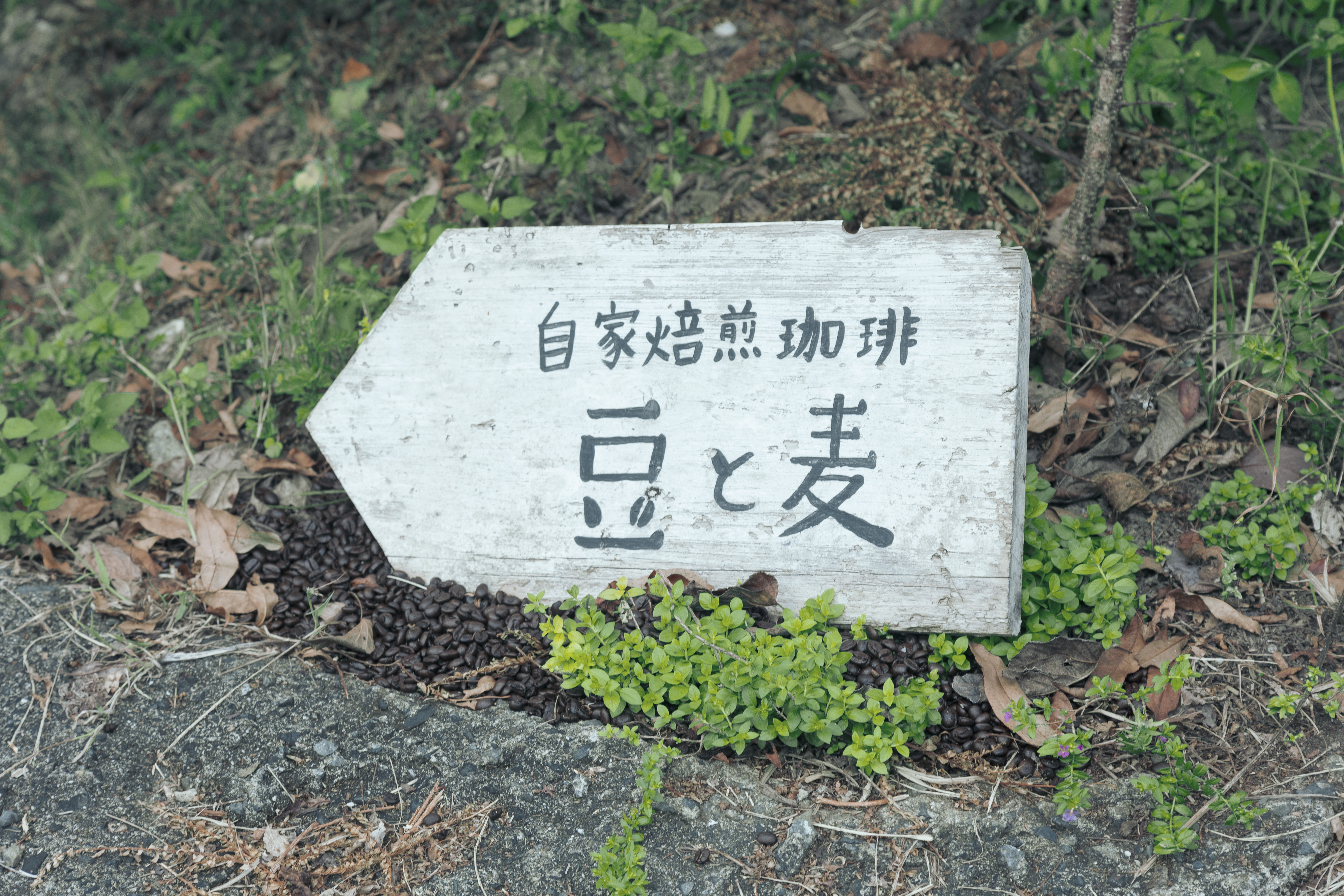 近くの珈琲の自家焙煎所「豆と麦」