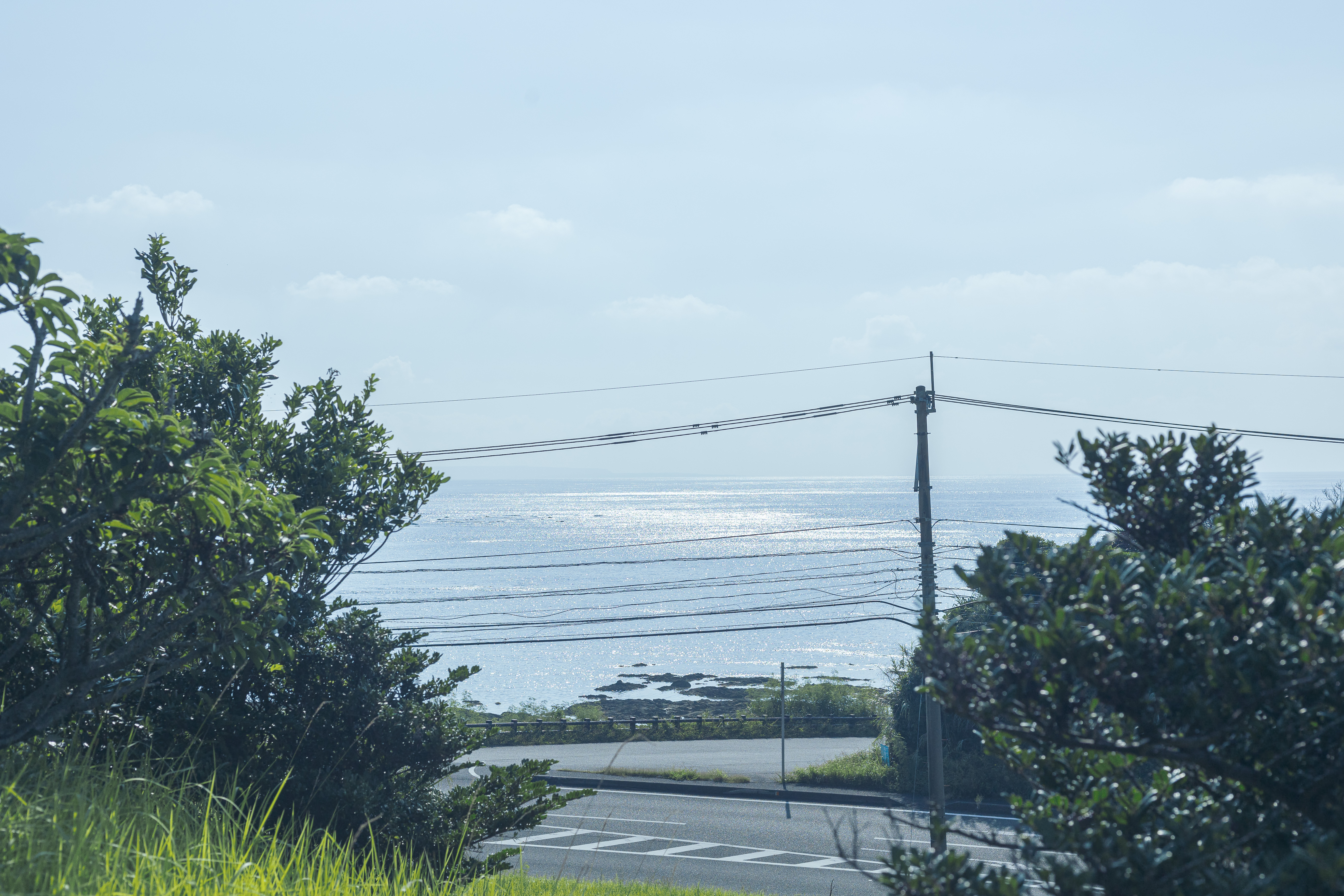 奄美大島の自然を感じる