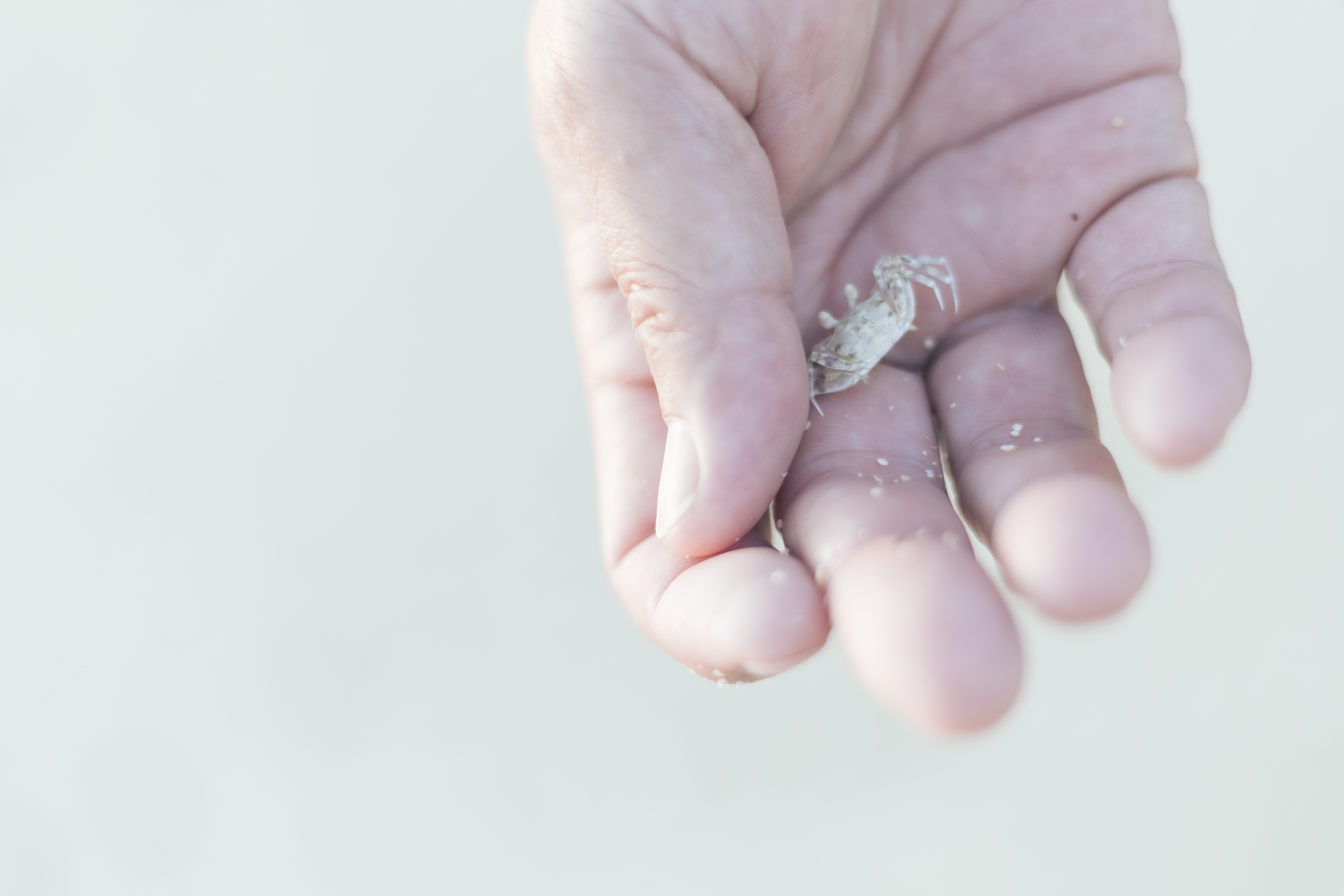 海でのひととき