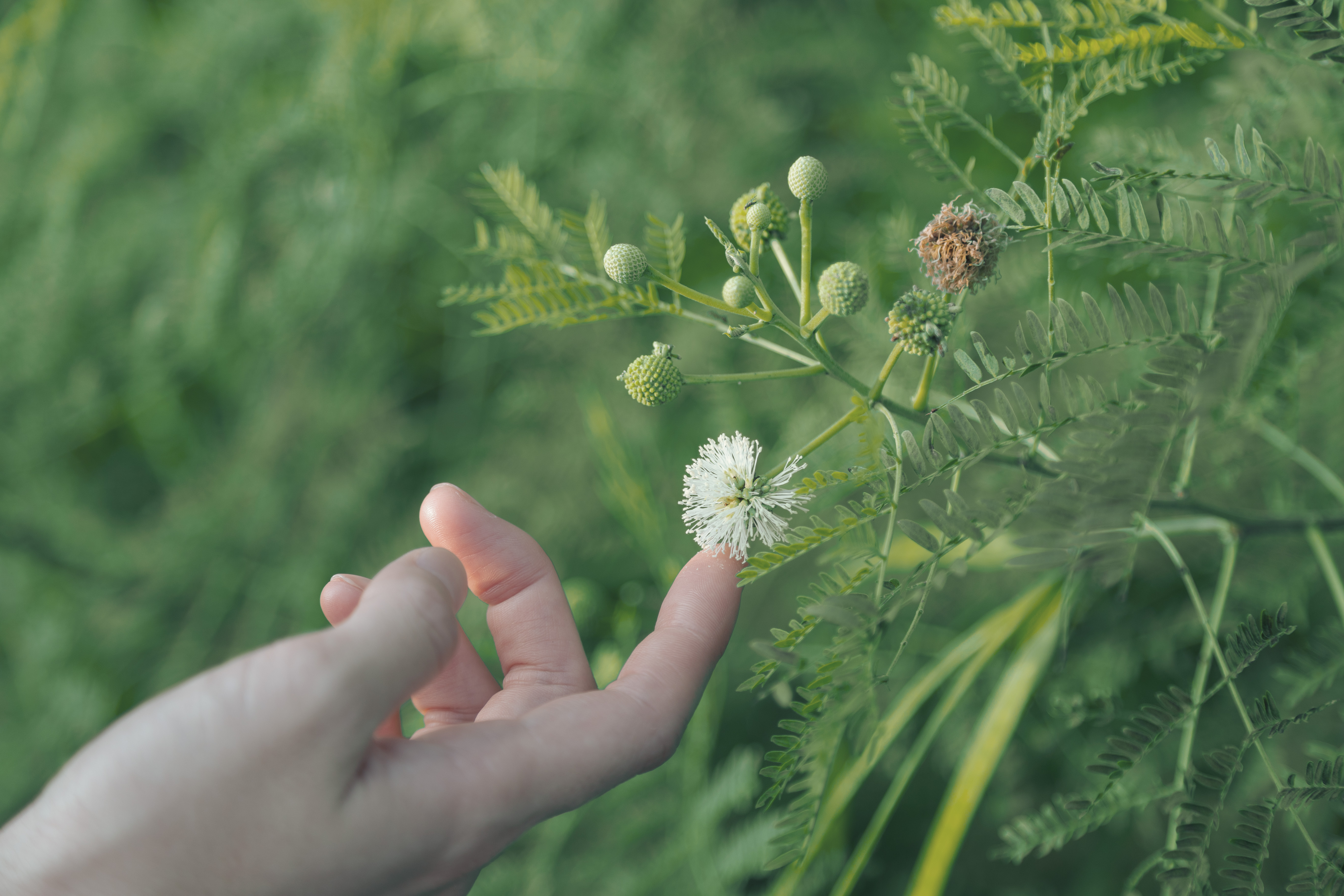 奄美大島の自然を感じる