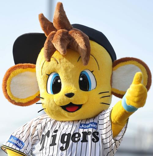 【日鉄鋼板SGLスタジアム尼崎開業記念】猛虎応援プラン 阪神タイガース2軍戦チケット付【朝食付】