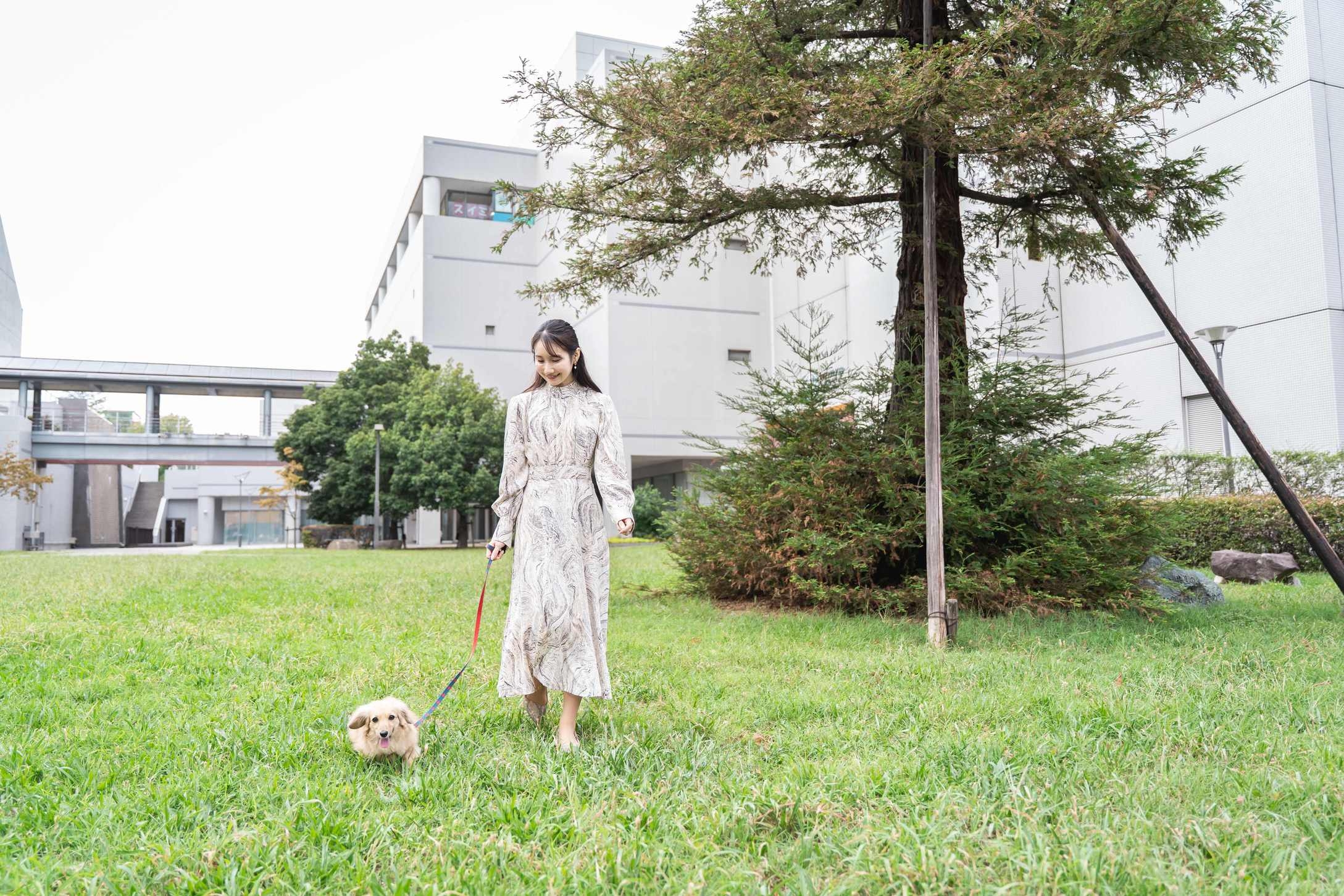 ドッグフレンドリーステイプラン 【小型犬1頭ご利用可】〜朝食付〜