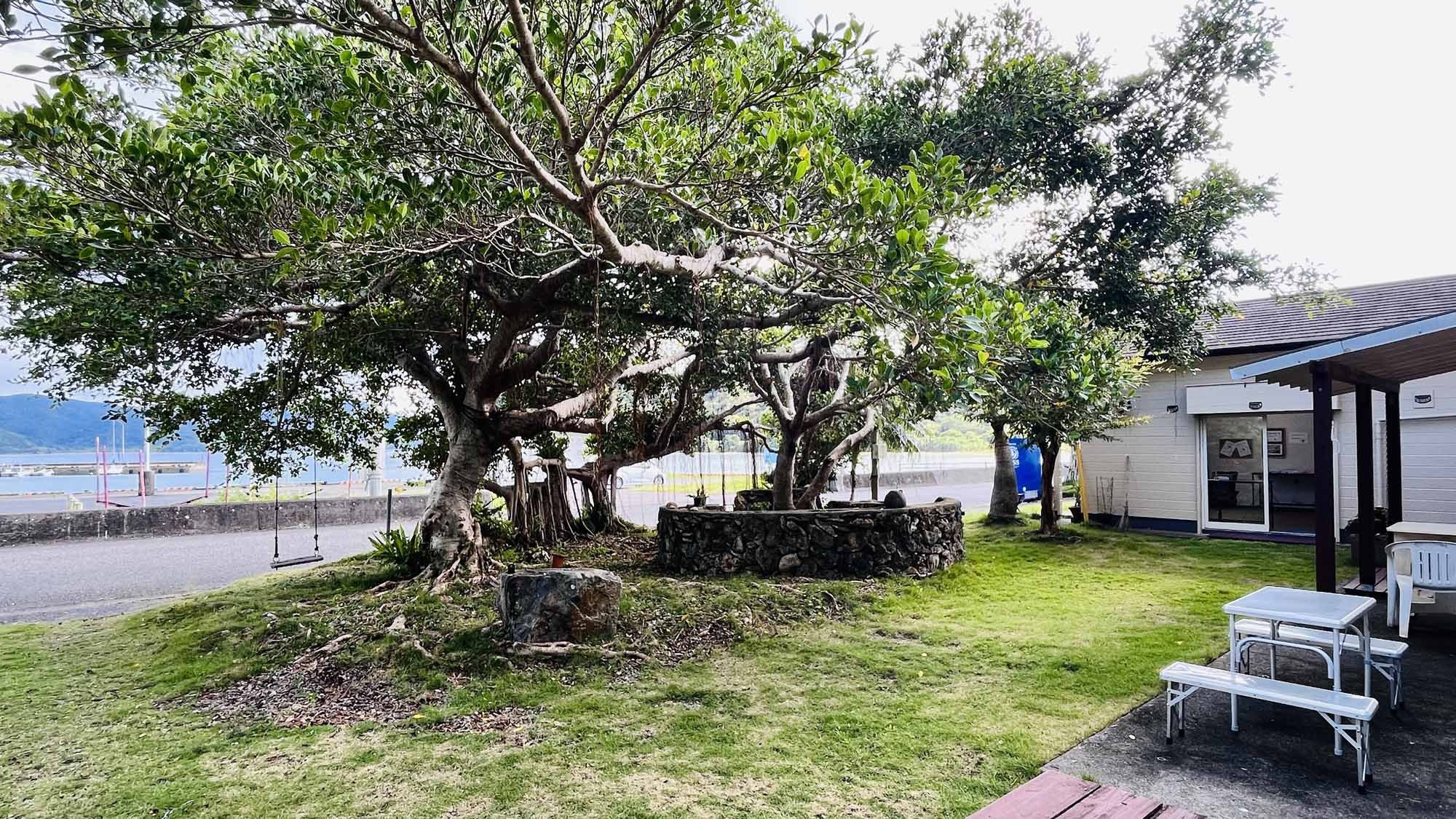 【BBQセット貸出・素泊り】コンロや炭はレンタルで♪サンセットひとりじめBBQ！