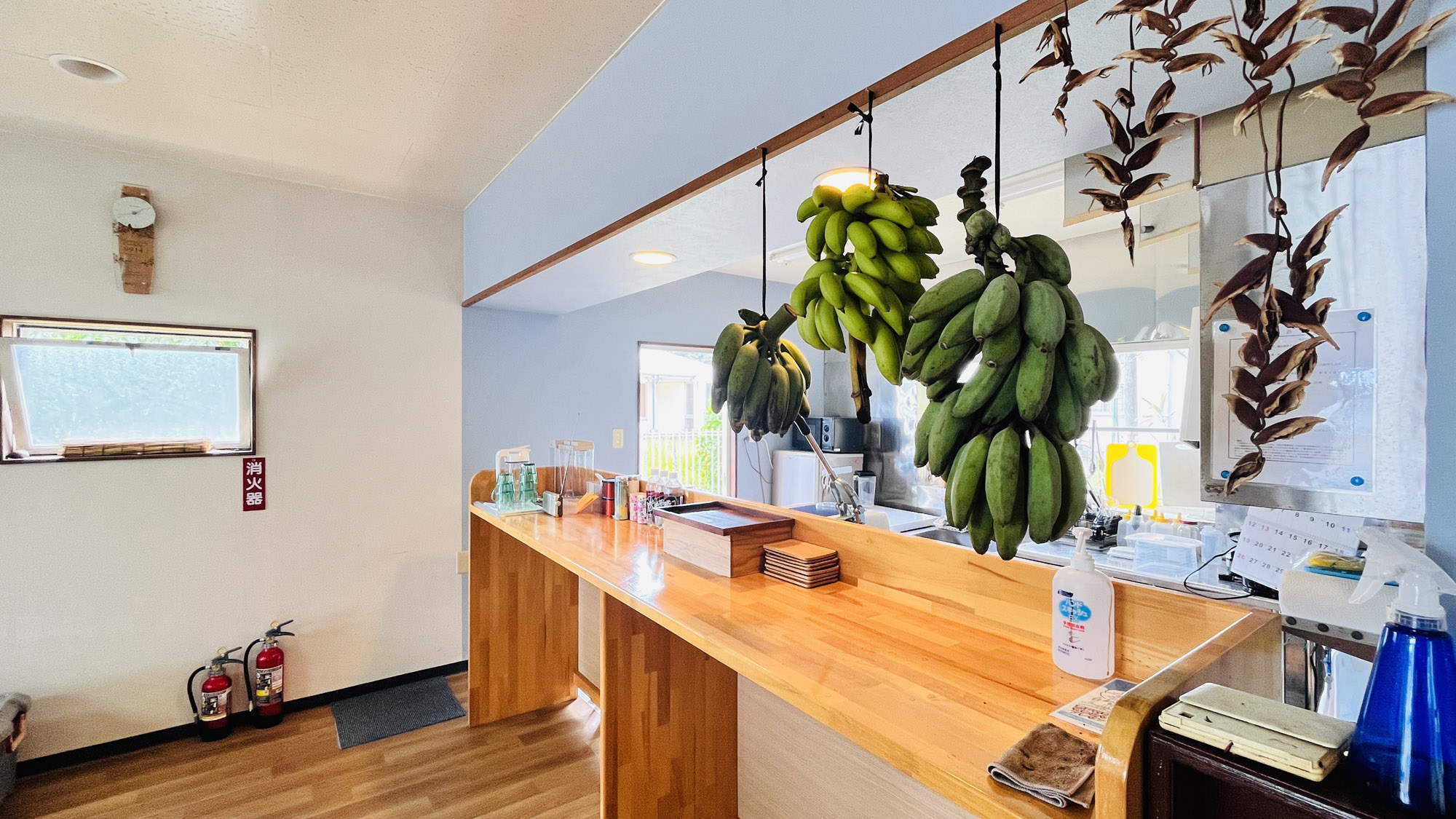 【カフェ】季節の島果実スムージーを召し上がれ