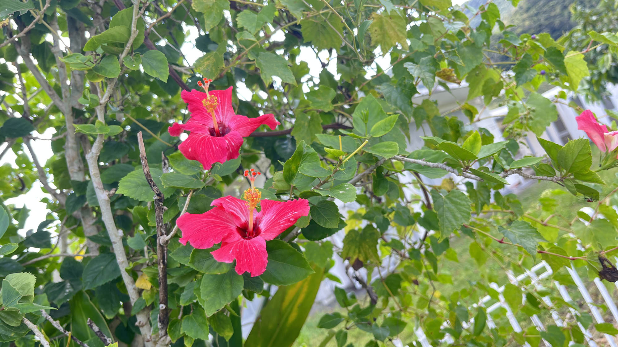 その日その時の自然を全身で感じられます