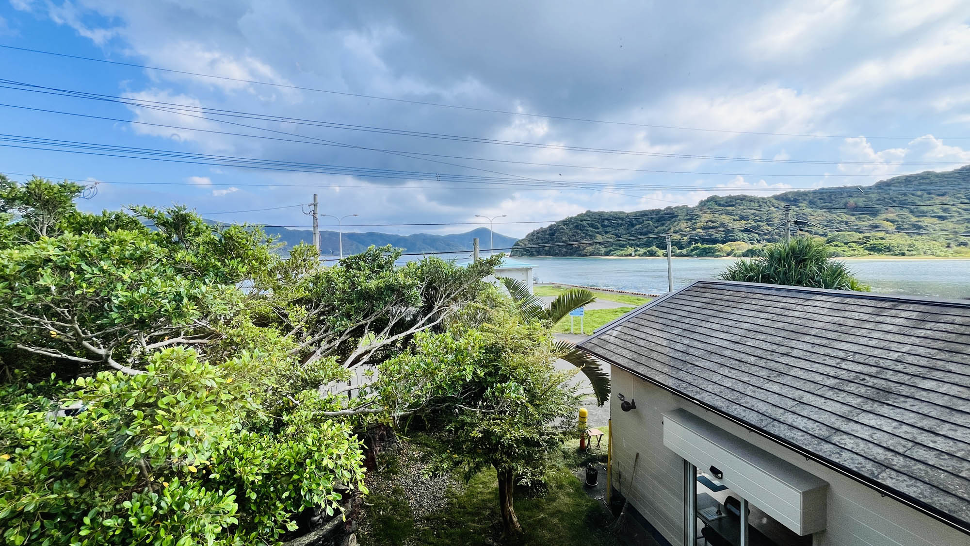 【客室】お部屋からもガジュマルや海を見渡すことが出来ます