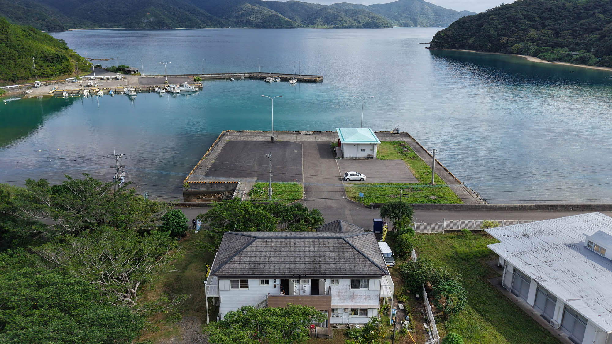 目の前の海にはちょっとのぞくだけでお魚が沢山！