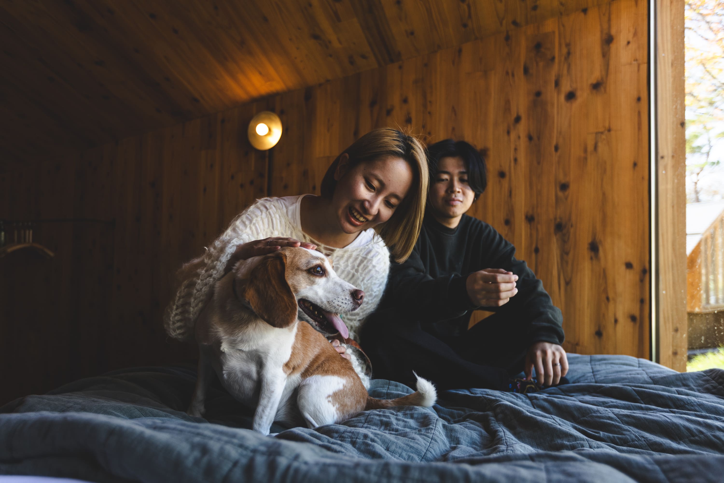 ペット同伴可（部屋共通）