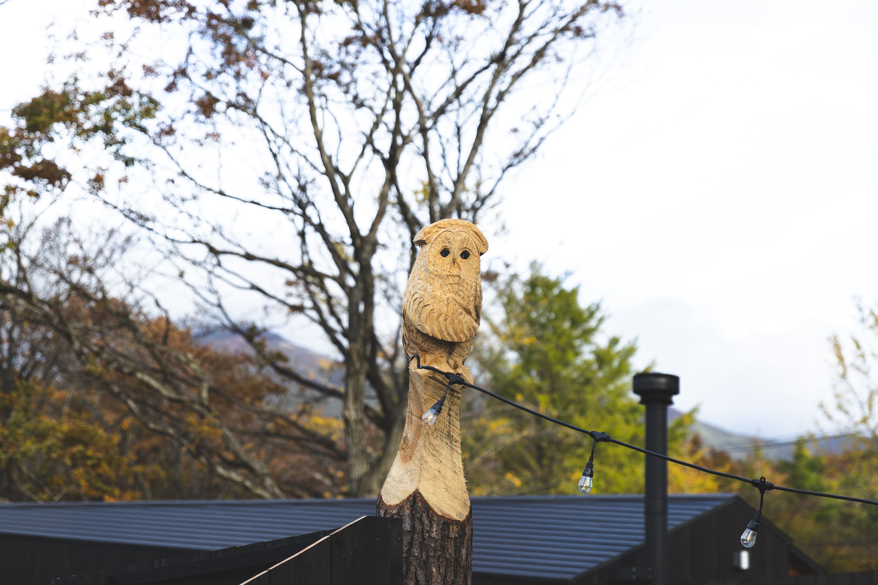 フクロウポール