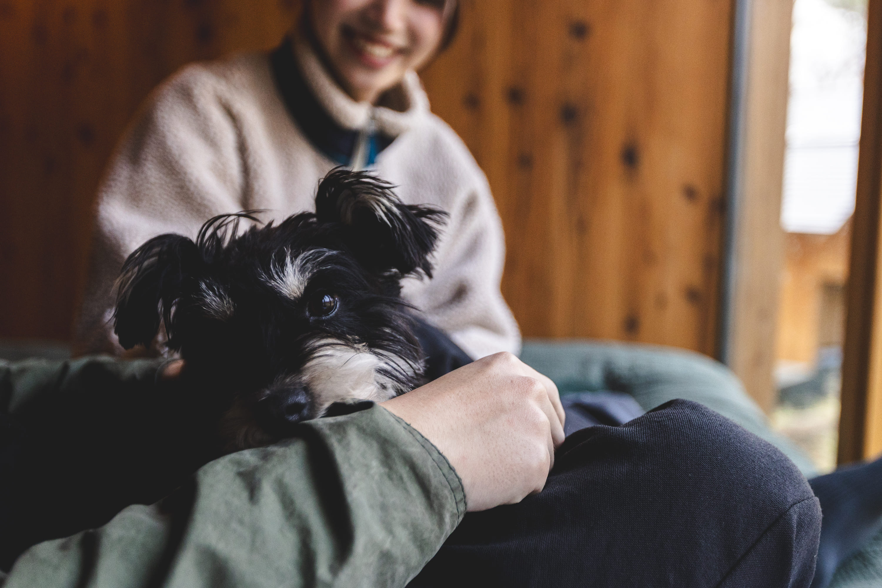 ペット同伴可（部屋共通）