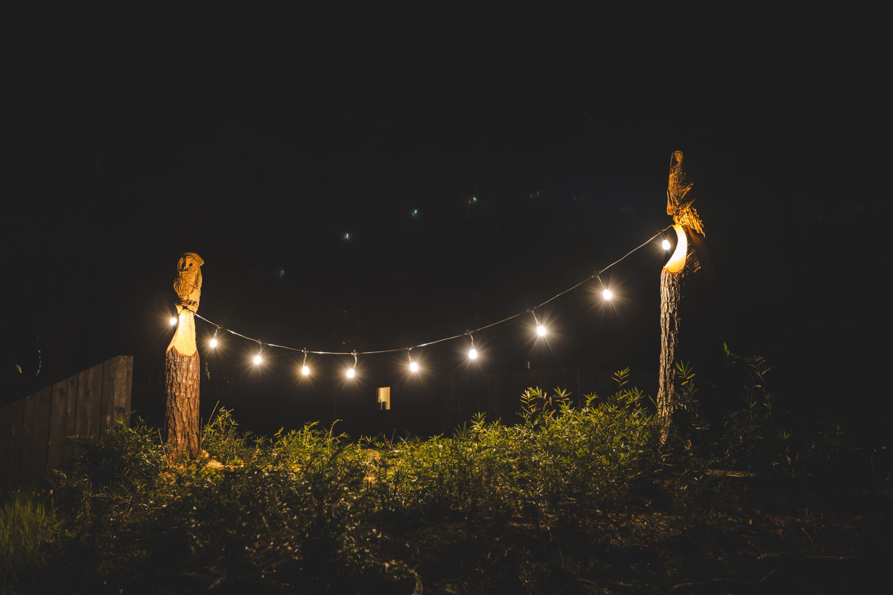 フクロウポール2