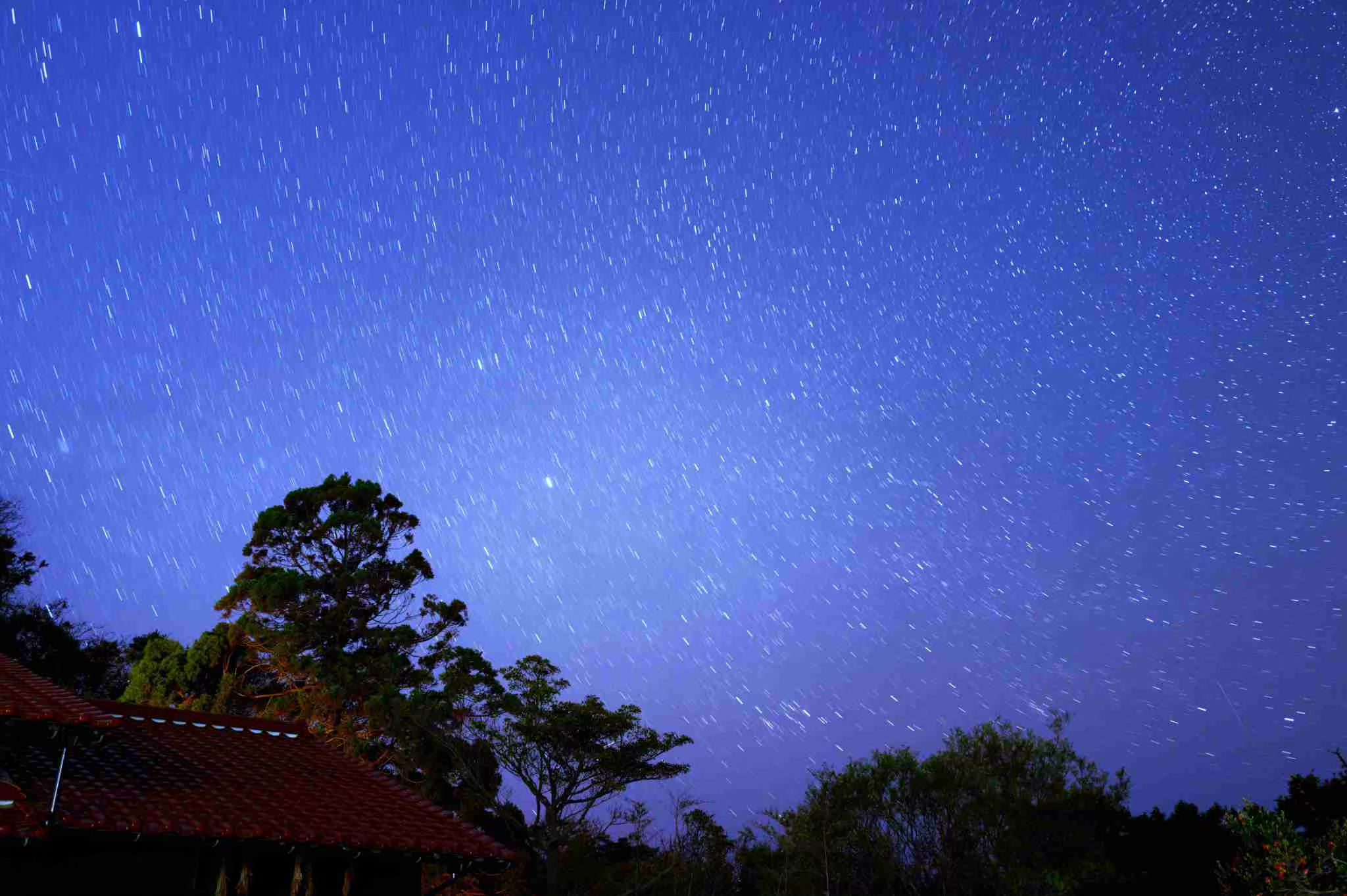 お庭から満天の星空を