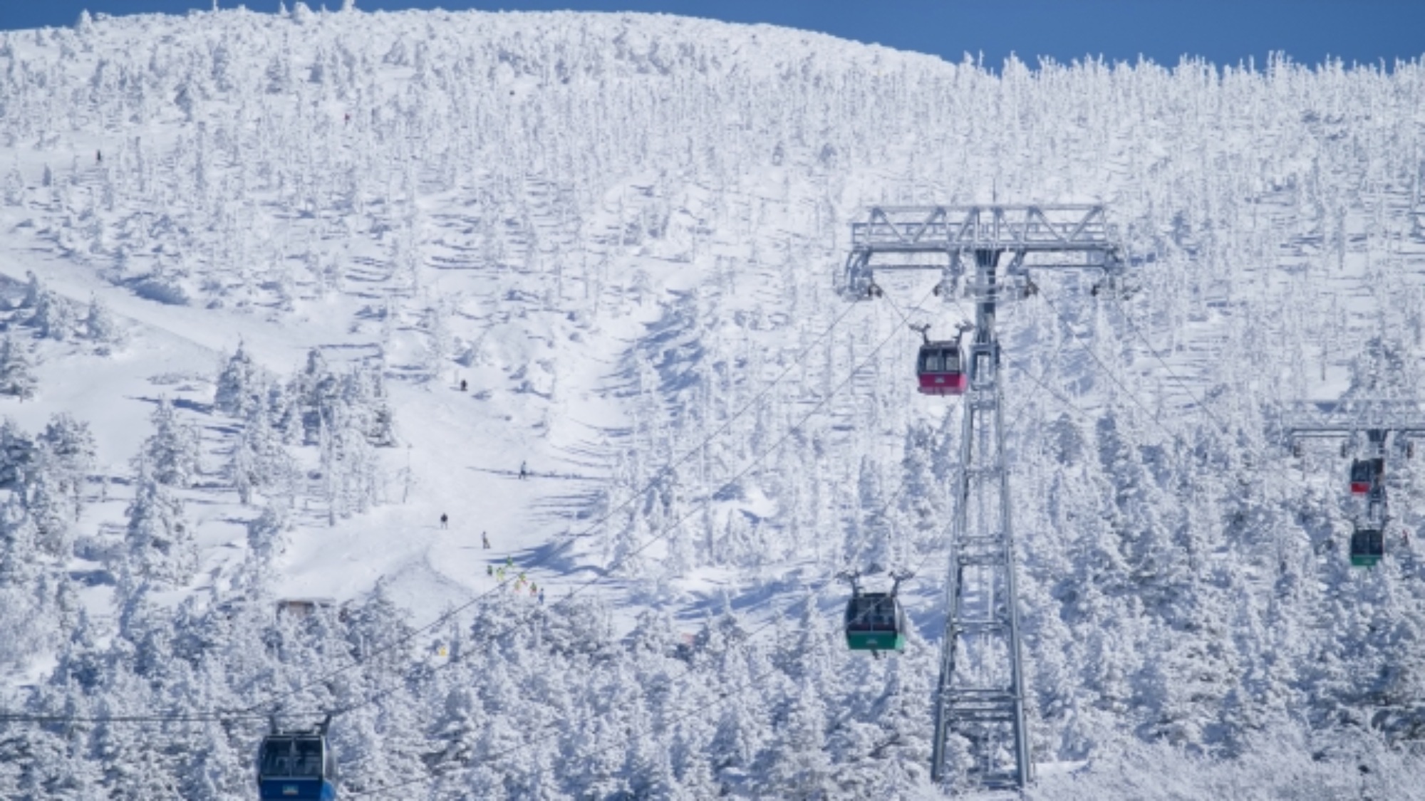 【周辺】蔵王温泉スキー場