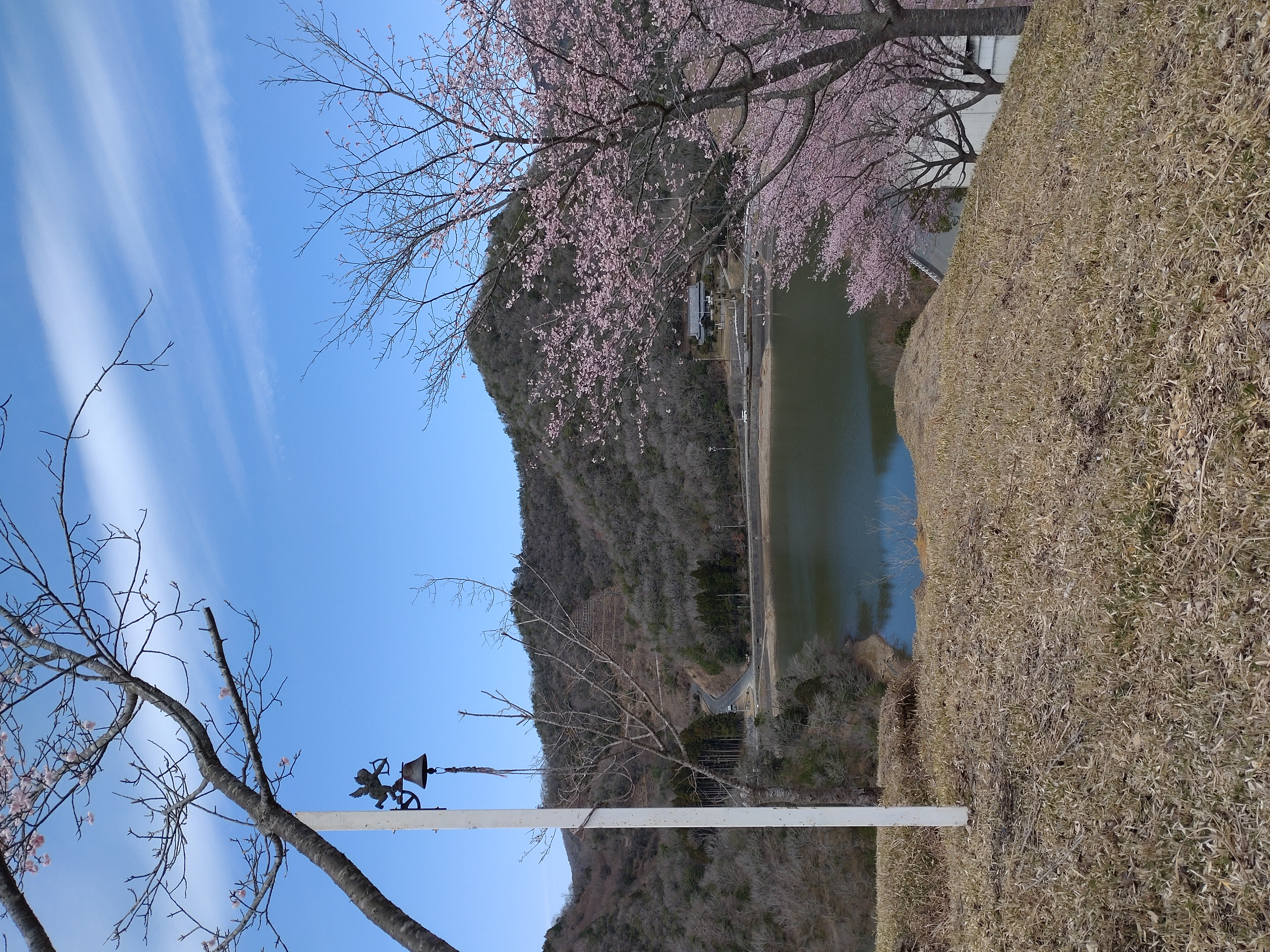 さくら園　天使の鐘と桜