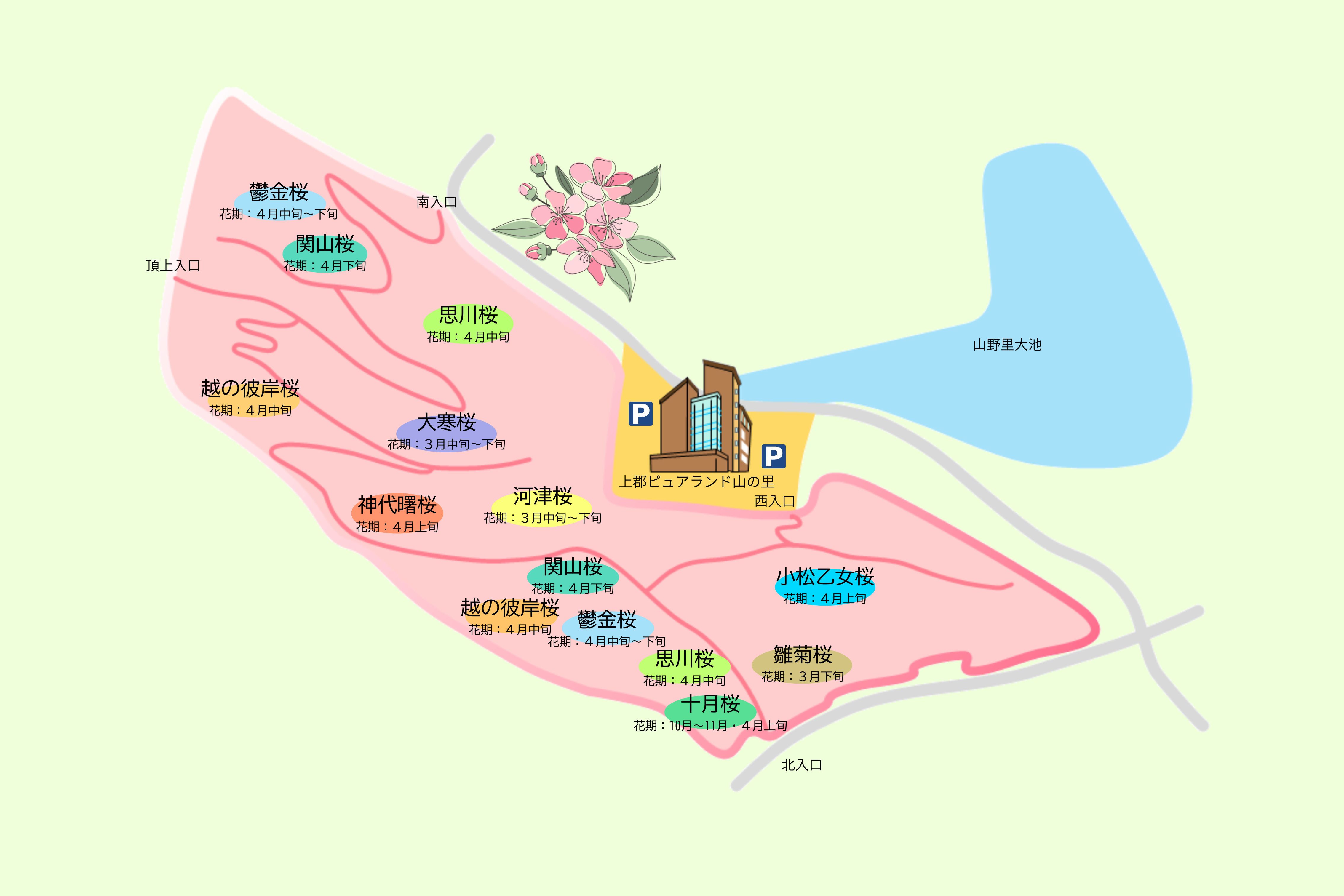 平成１１年（1999年）に整備され、１０種類約１２００本の桜が植栽されています。  《３月中旬～下旬》・大寒桜（おおかんざくら）・河津桜（かわづざくら）・雛菊桜（ひなぎくざくら） 《４月上旬》　　　・神代曙（じんだいあけぼの）・小松乙女（こまつおとめ） 《４月中旬～下旬》・十月桜（じゅうがつざくら）・思川（おもいがわ）・越の彼岸（こしのひがん）・鬱金桜（うこんざくら）・関山（かんざん）  　※十月桜は、１０月～１１月にも咲かせる珍しい桜です。  