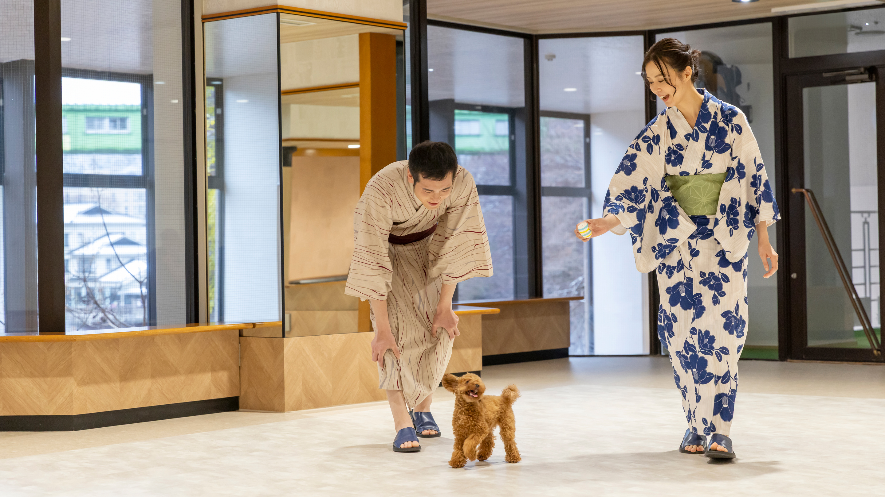 屋内ドッグラン※イメージ
