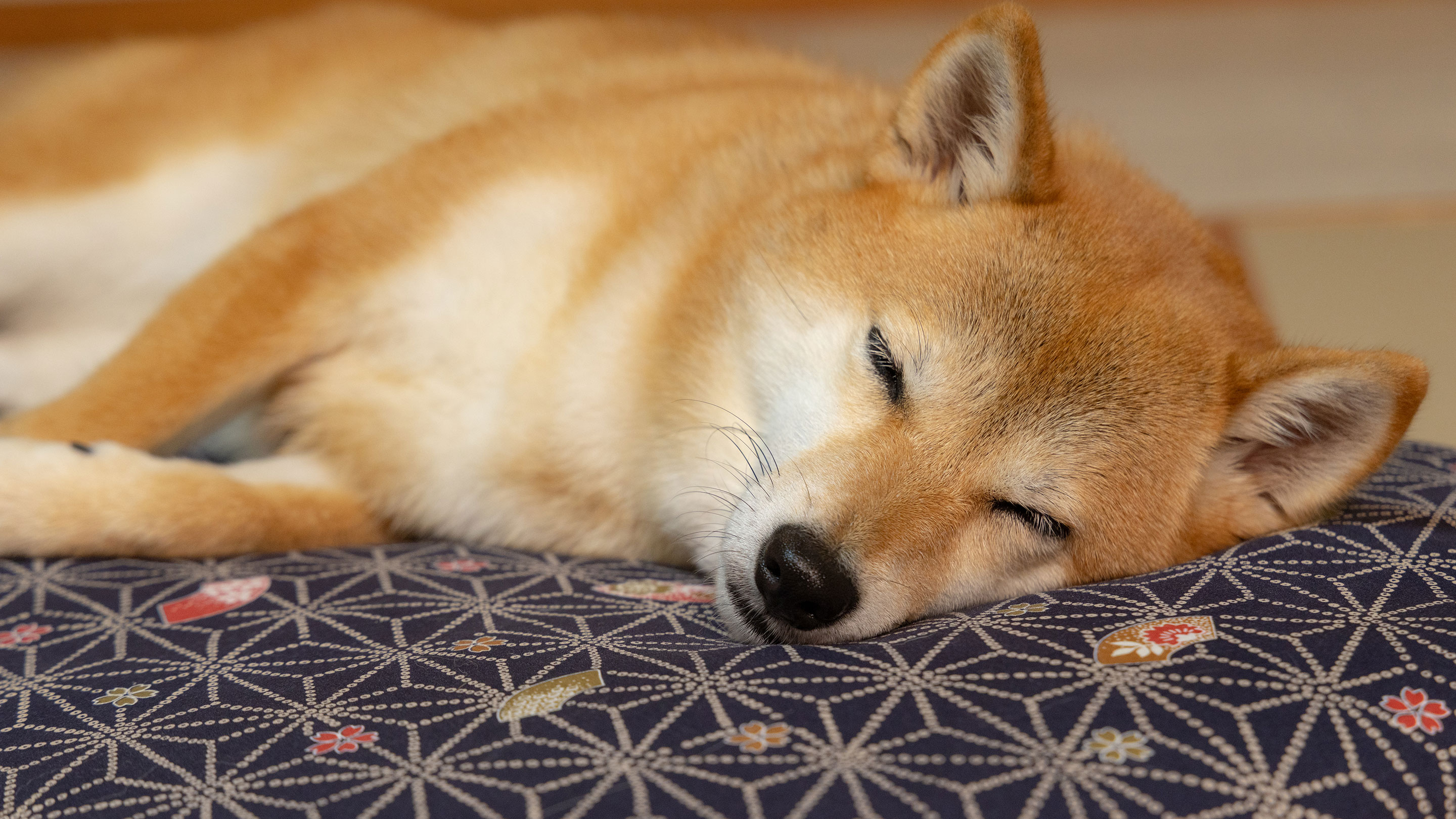 お部屋イメージ