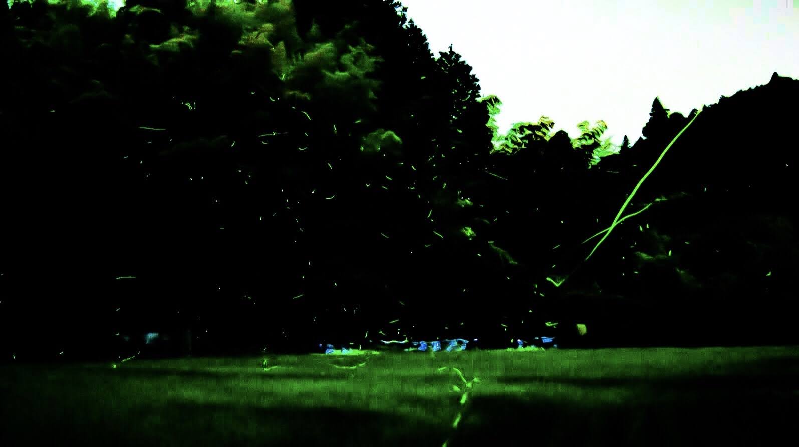 近隣のホタルの里
