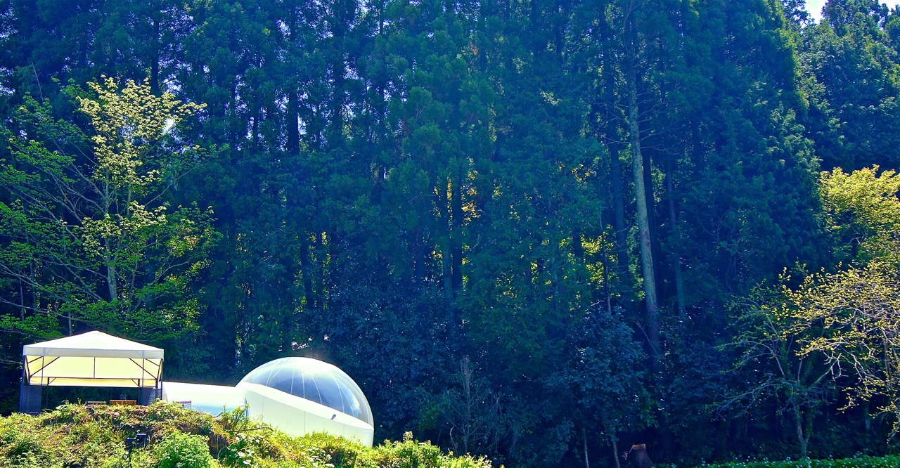 バブルテント全景