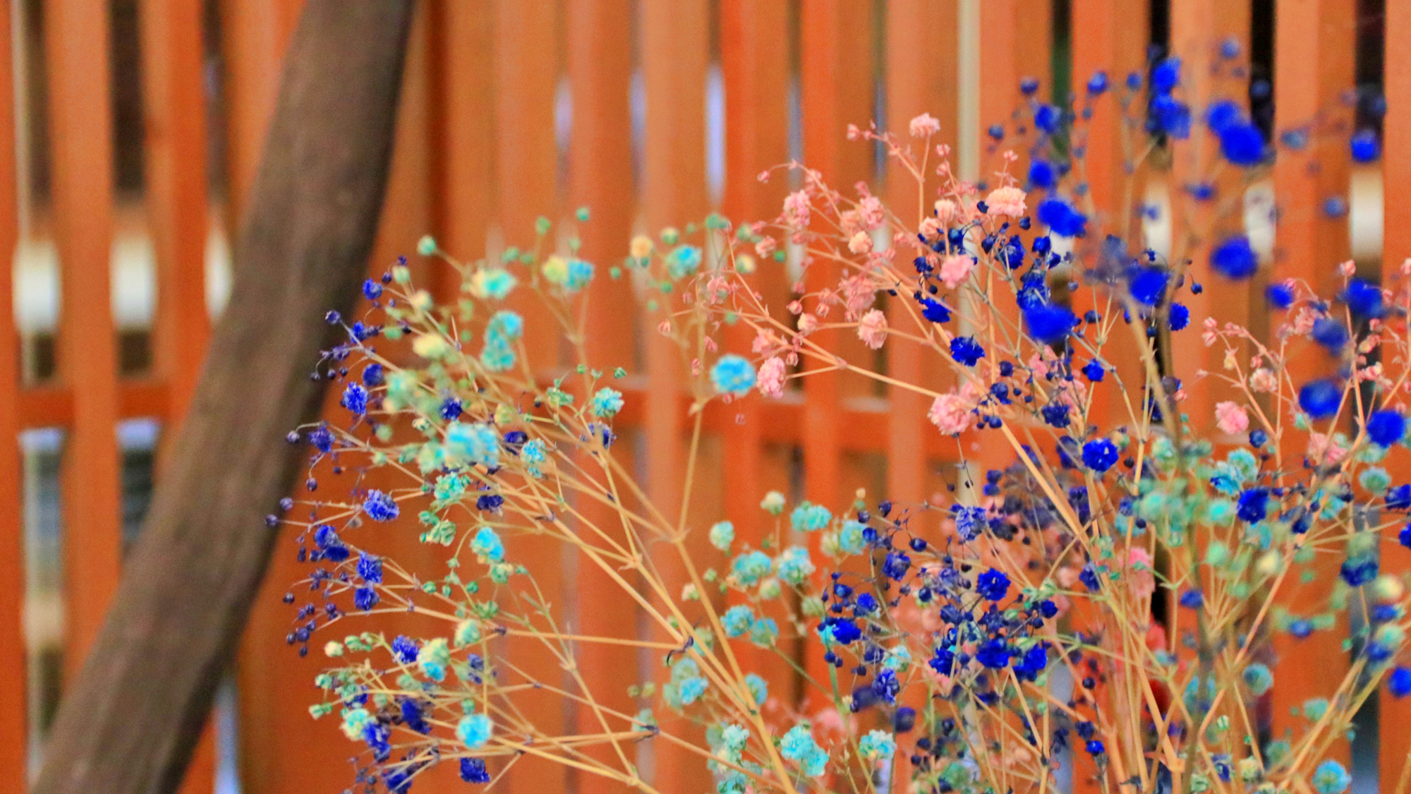 【館内】イメージ（１階）