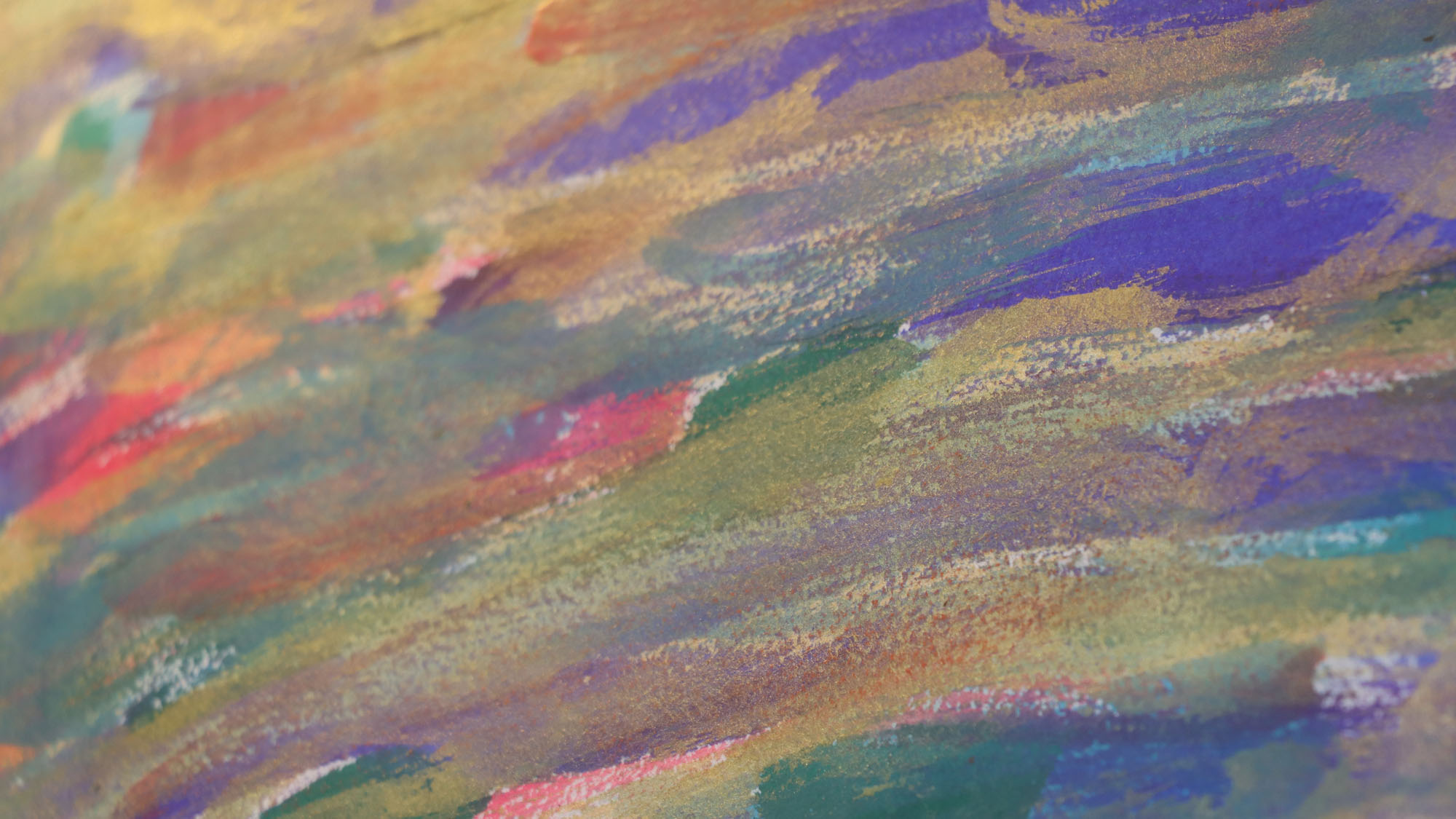 喜界島でどんな思い出ができるかな？_