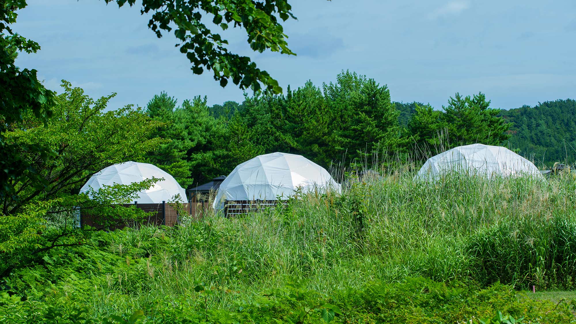 ・【外観】自然の中に溶け込む空間。風のささやき、草の香りに包まれ、日々の喧騒を忘れさせてくれます