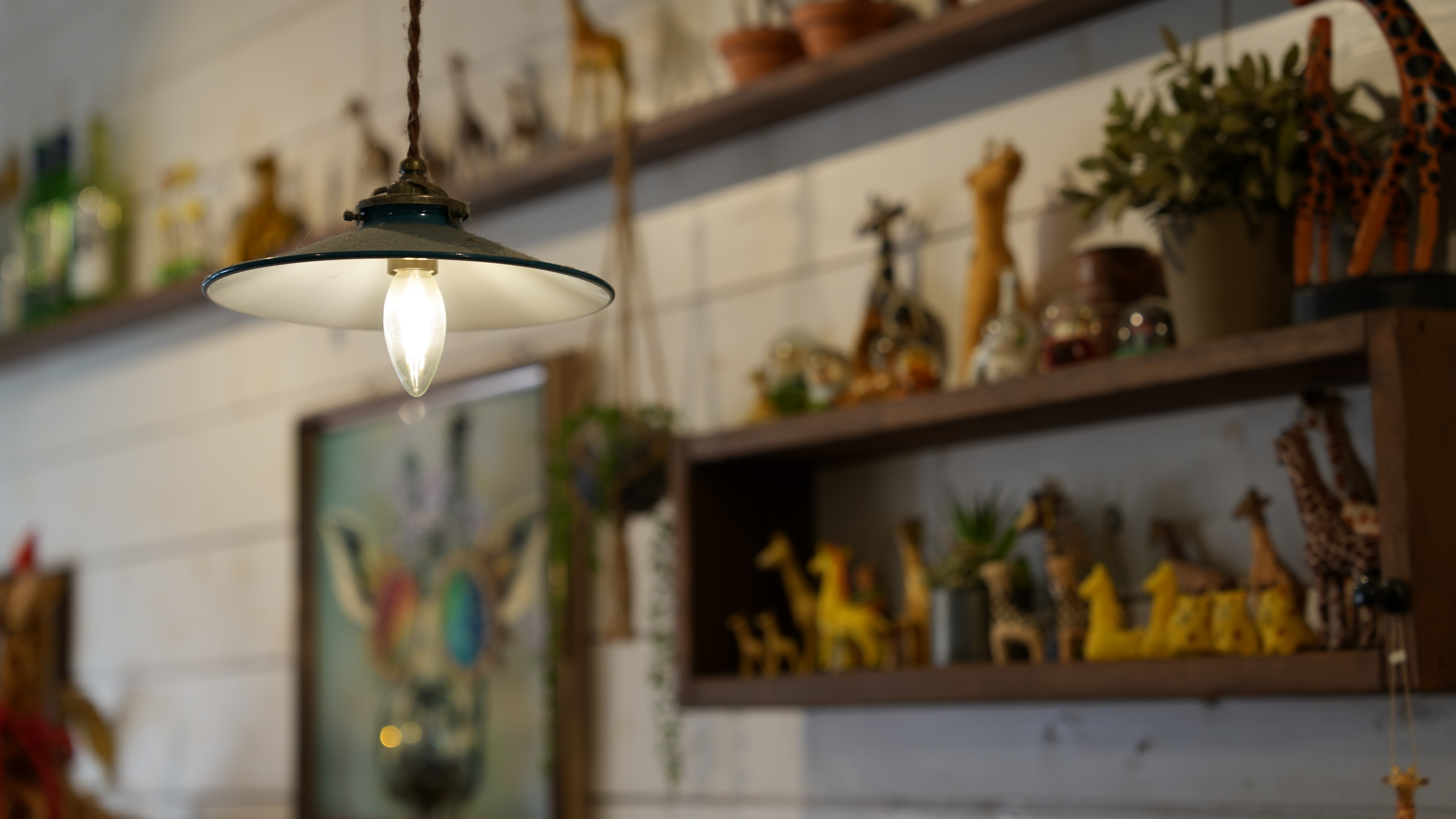 提携飲食店　きりん食堂