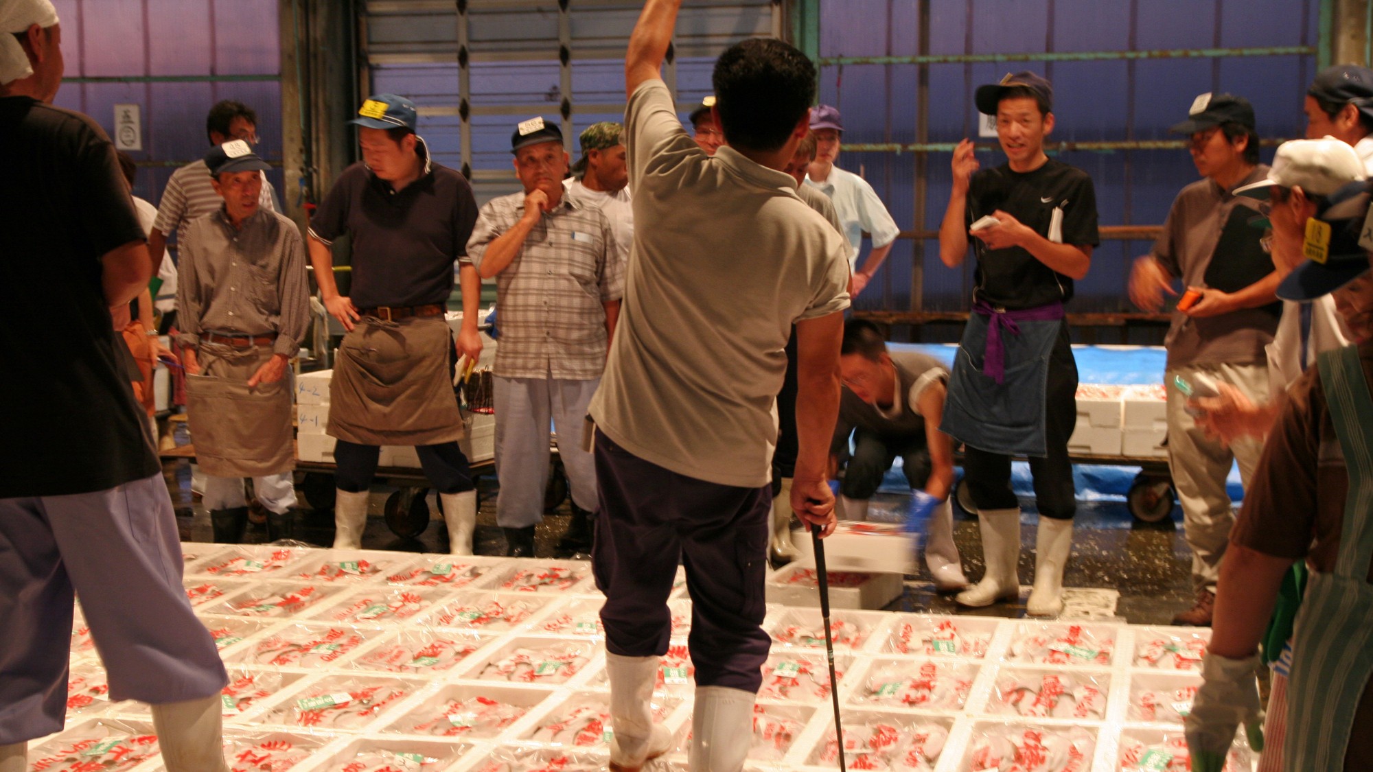 活気ある橋立漁港のせり