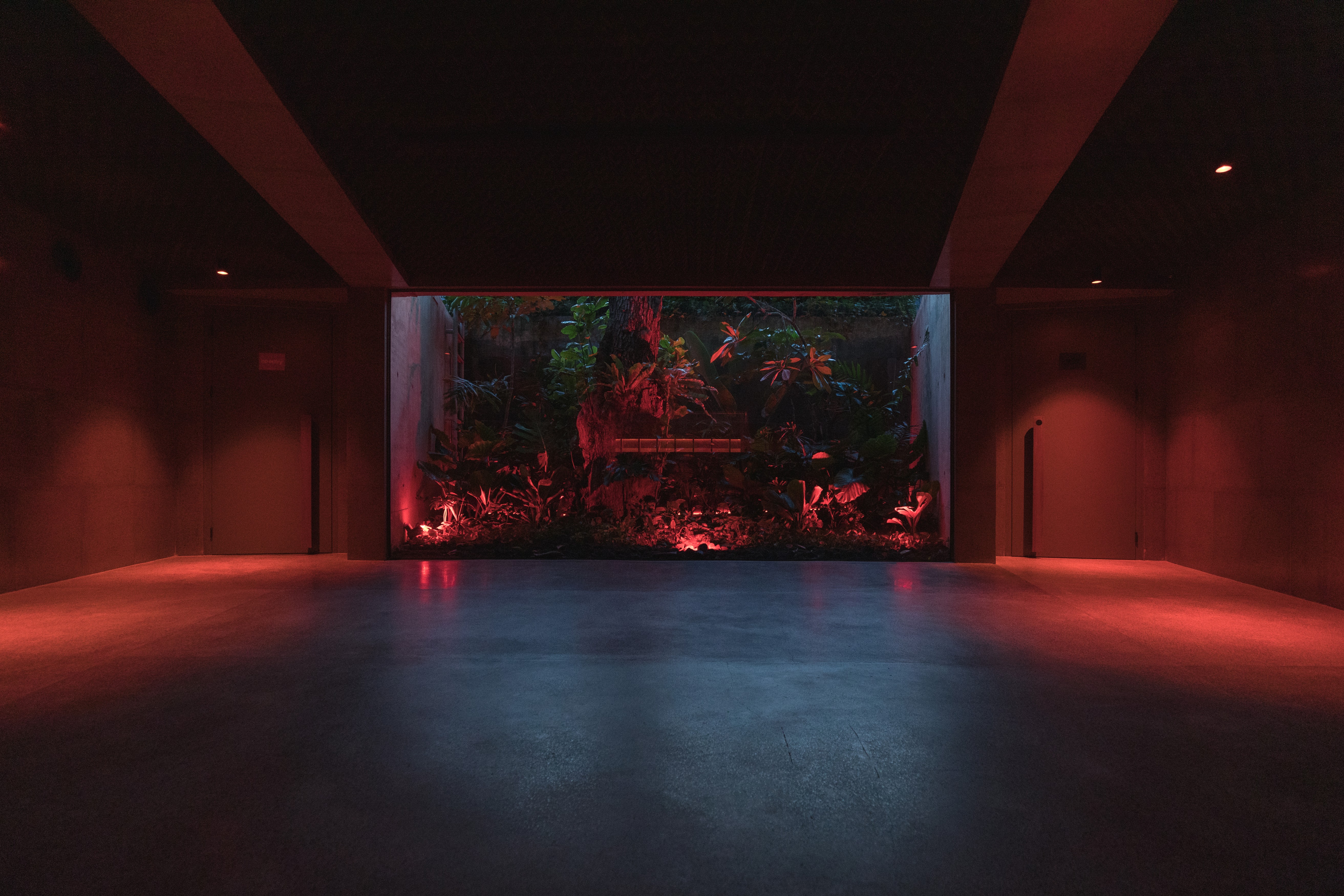 【Klymax Discotheque】