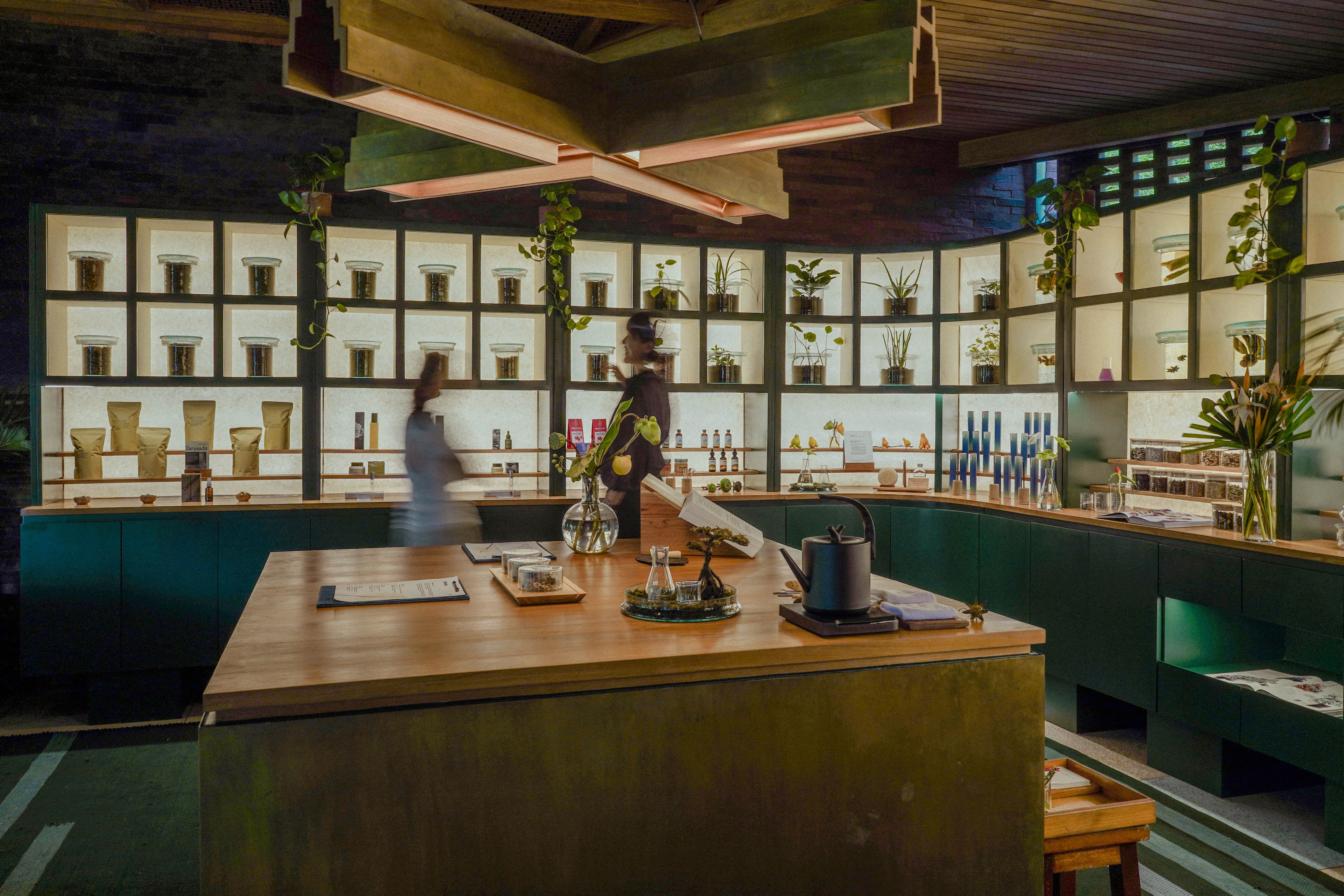 (farm)acy - ワークショップ