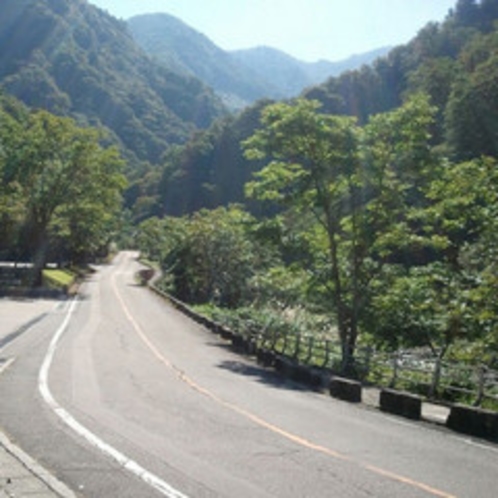 白山スーパー林道