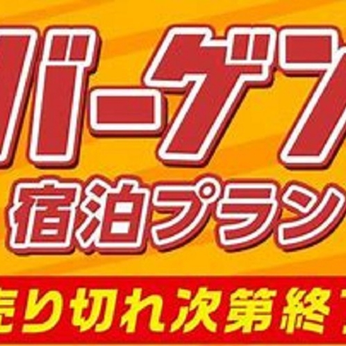 お日にち限定のお得なプランです。