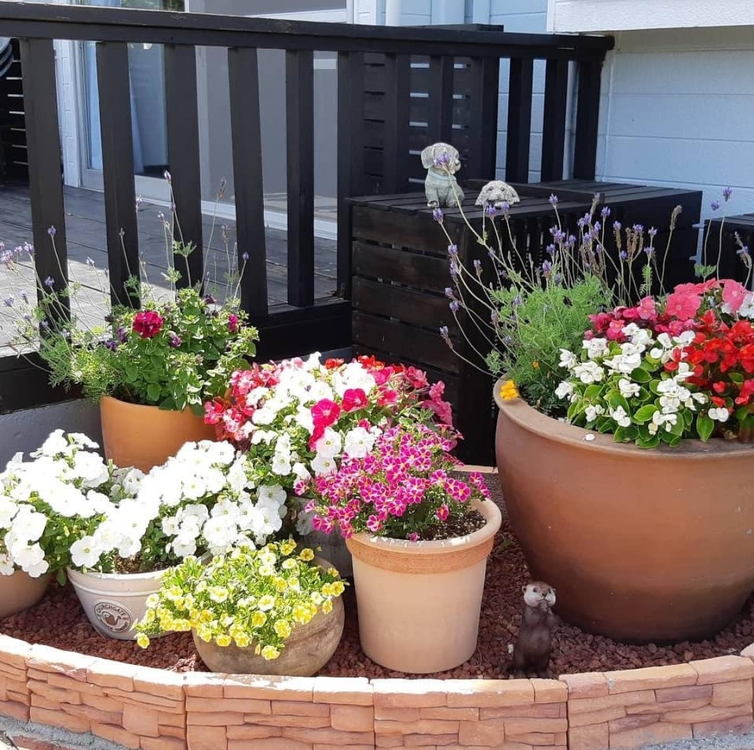 イメージ◇お花