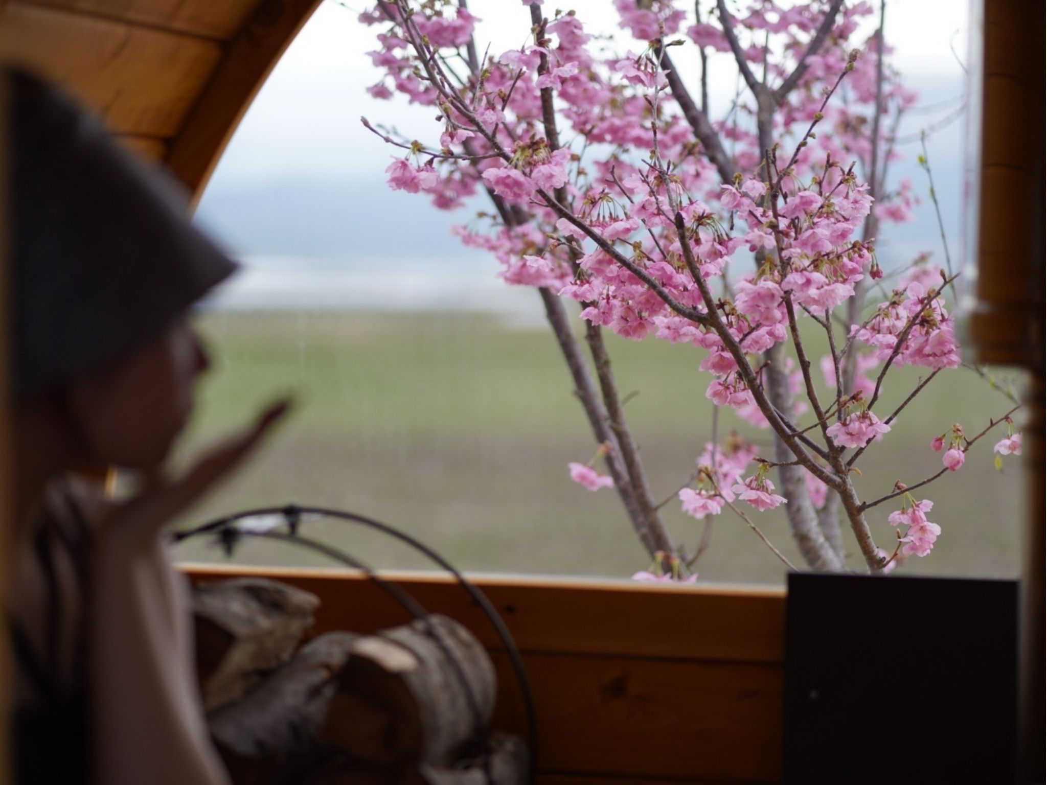 お花見をしながらのサウナ