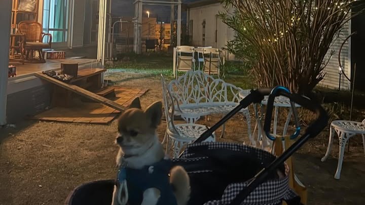 建物を囲む広々ドッグラン♪