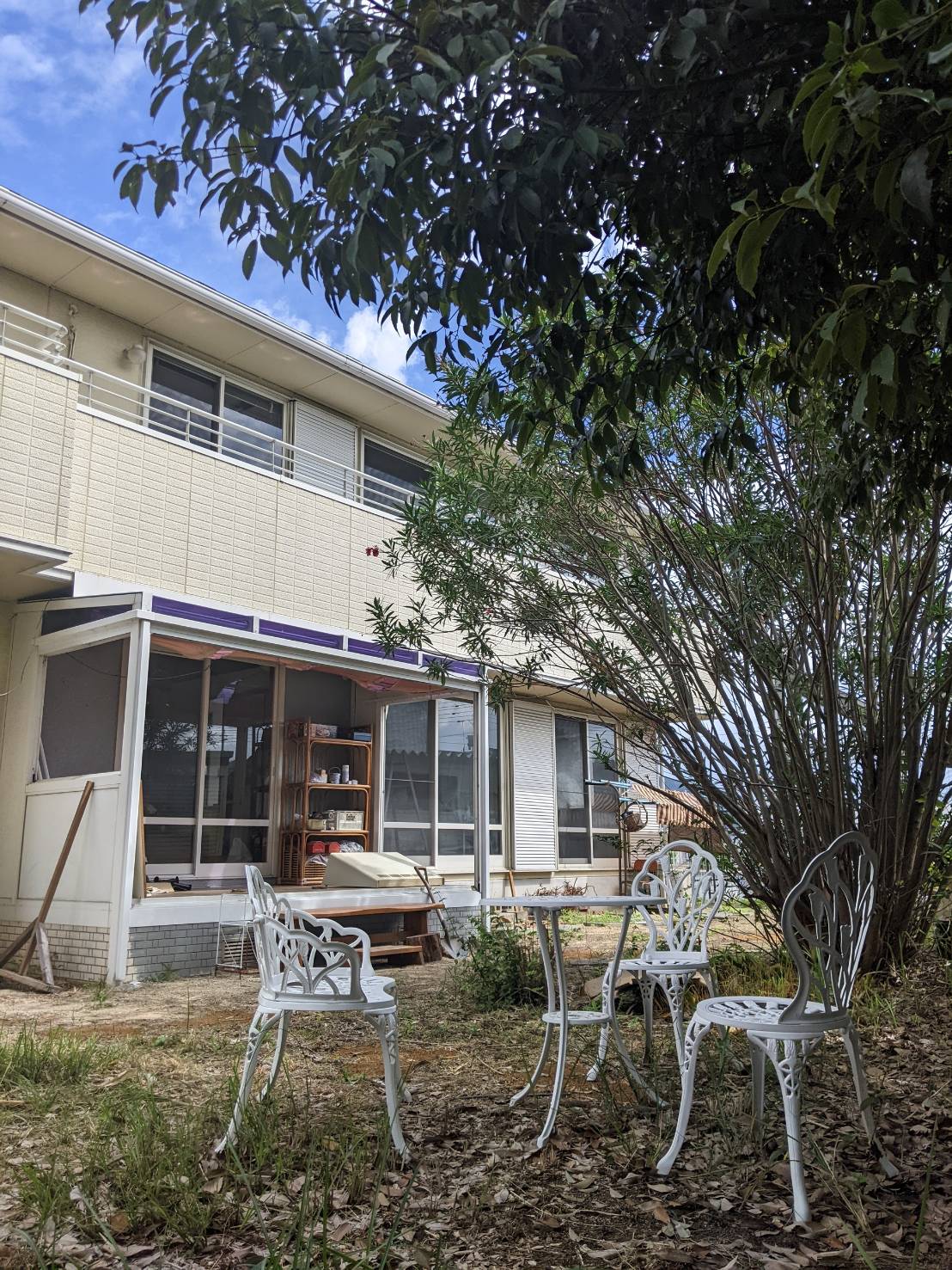 ﾄﾞｯｸﾞﾗﾝ