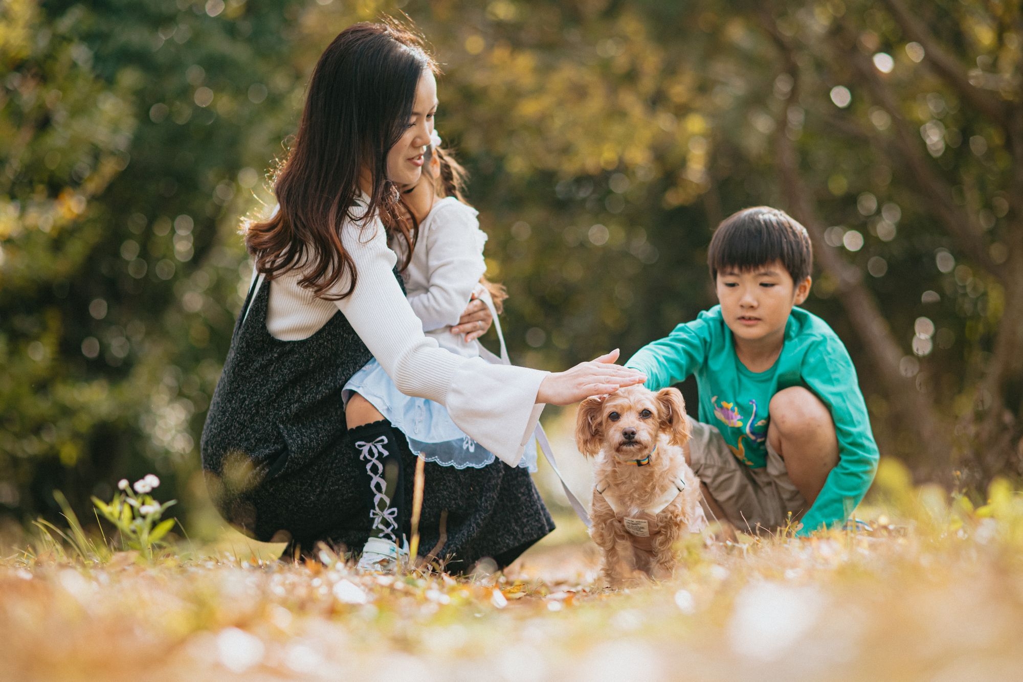 Dog Wellness Resort Stay 　—犬と人が自然に還る温泉旅— １泊朝食付