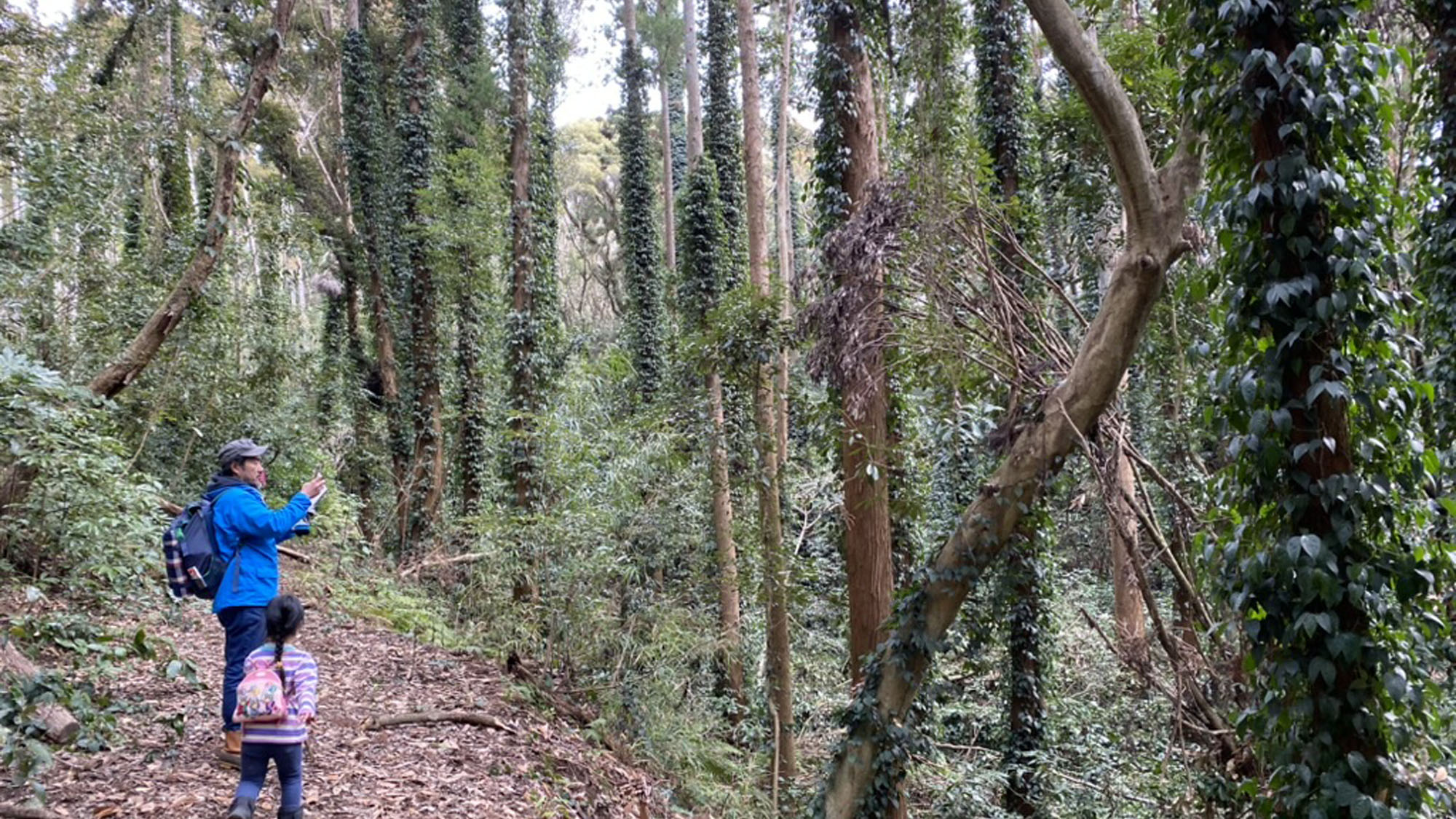 【体験】自然との対話を楽しむネイチャーウォーク*