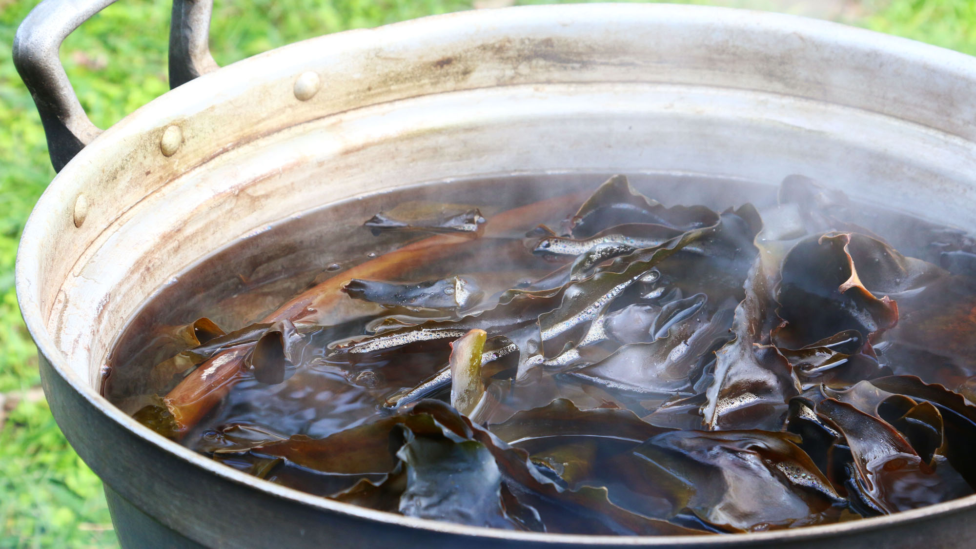 【カジメ風呂】美肌効果とリラックス効果を兼ね備えた、自然派温浴体験 *