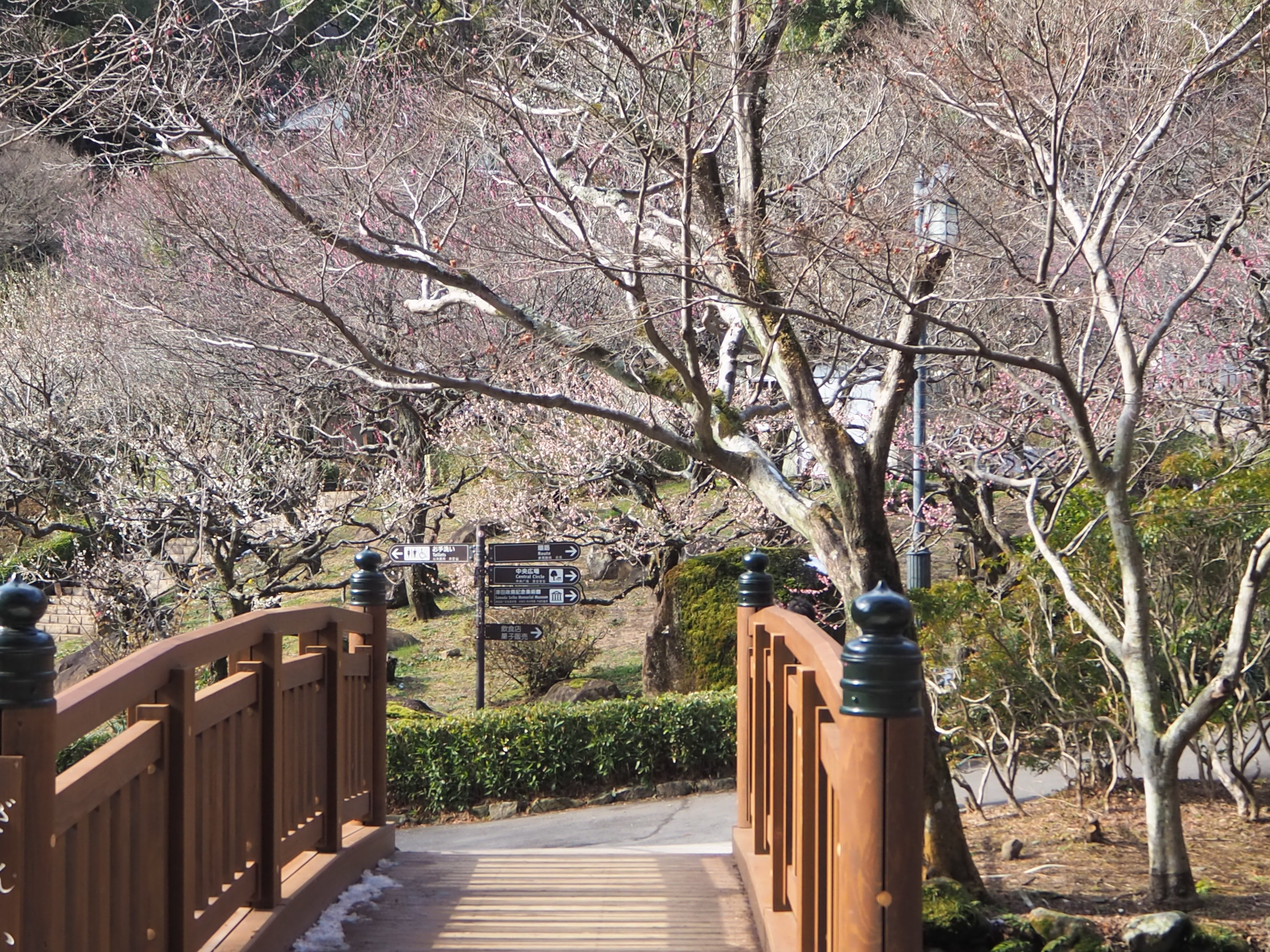 熱海梅園