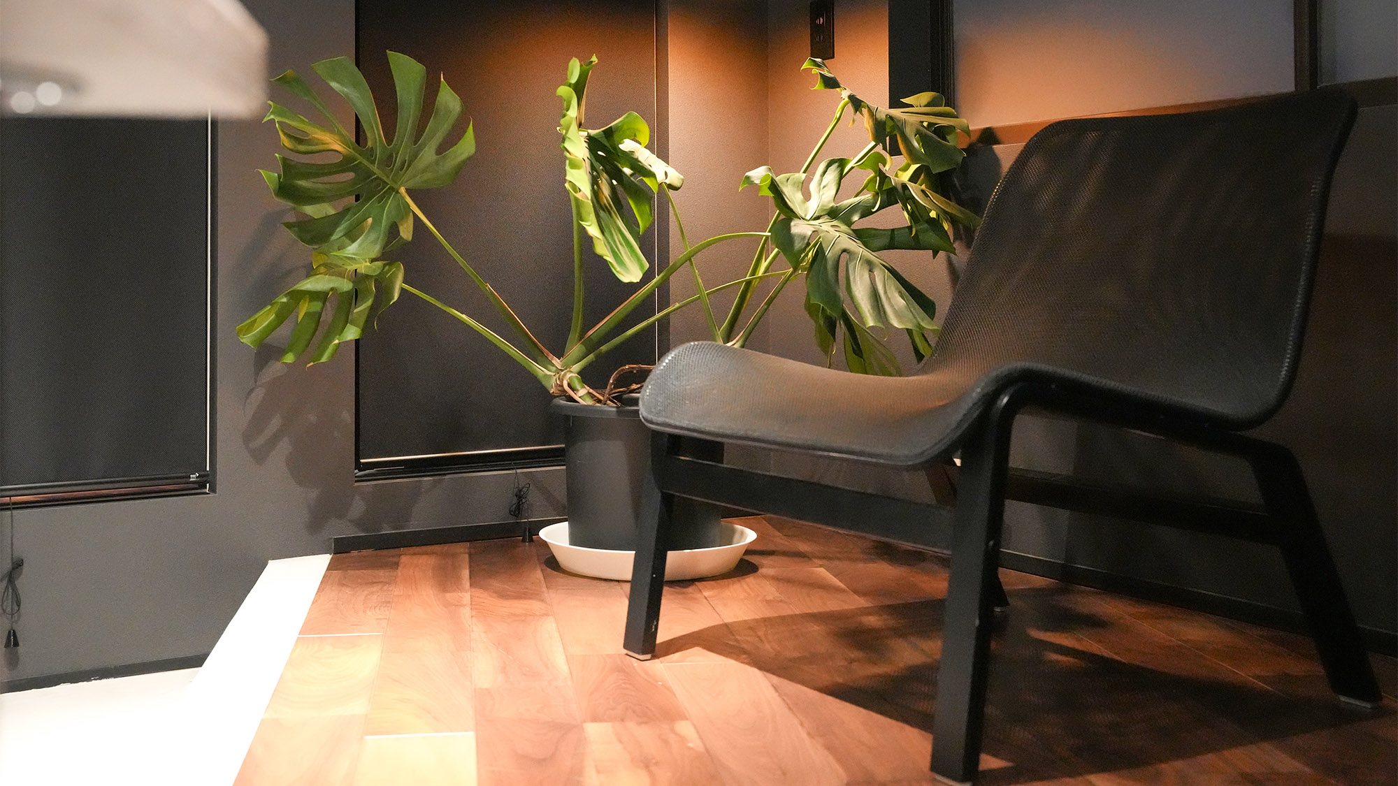 ・【椅子】観葉植物のそばでおくつろぎいただけます。日々の疲れをリフレッシュできます