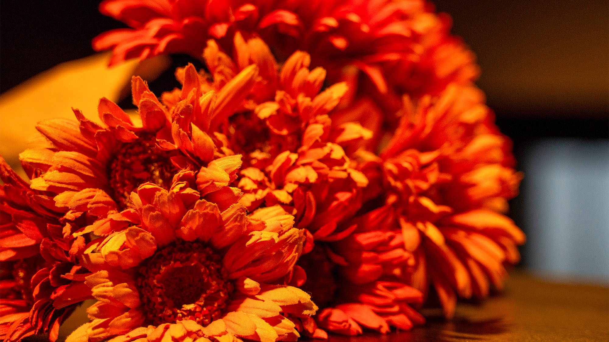 ・【お花】鮮やかなお花がお客様をお出迎えします。空間を華やかに彩ります