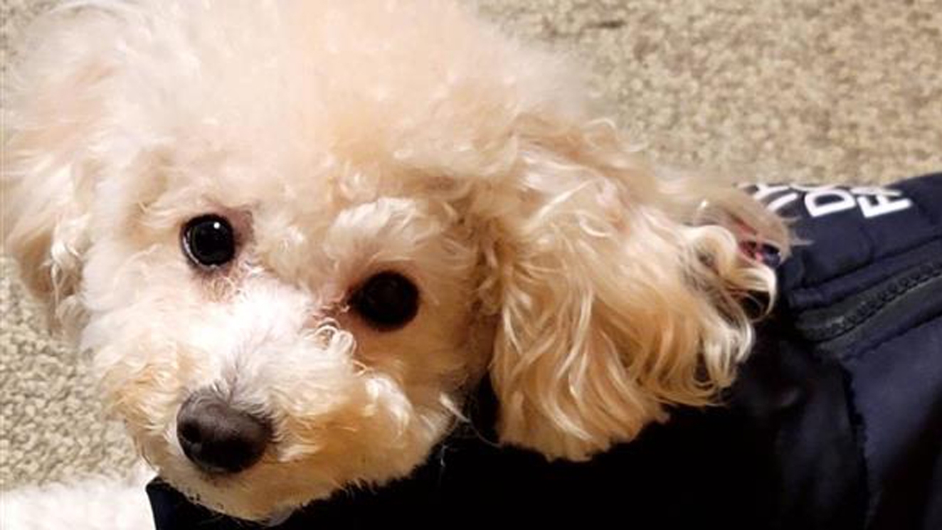 【素泊まり】熊野古道を歩いたあと夜は乾杯♪スナックほほえみで1時間ドリンクフリー☆