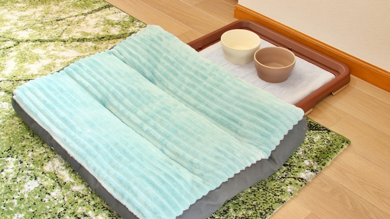 【ワンちゃん歓迎プラン】ご夫婦やカップルの愛犬同伴旅行にもぴったり！大切な思い出作りに♪