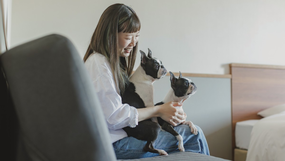 ドッグフレンドリールーム