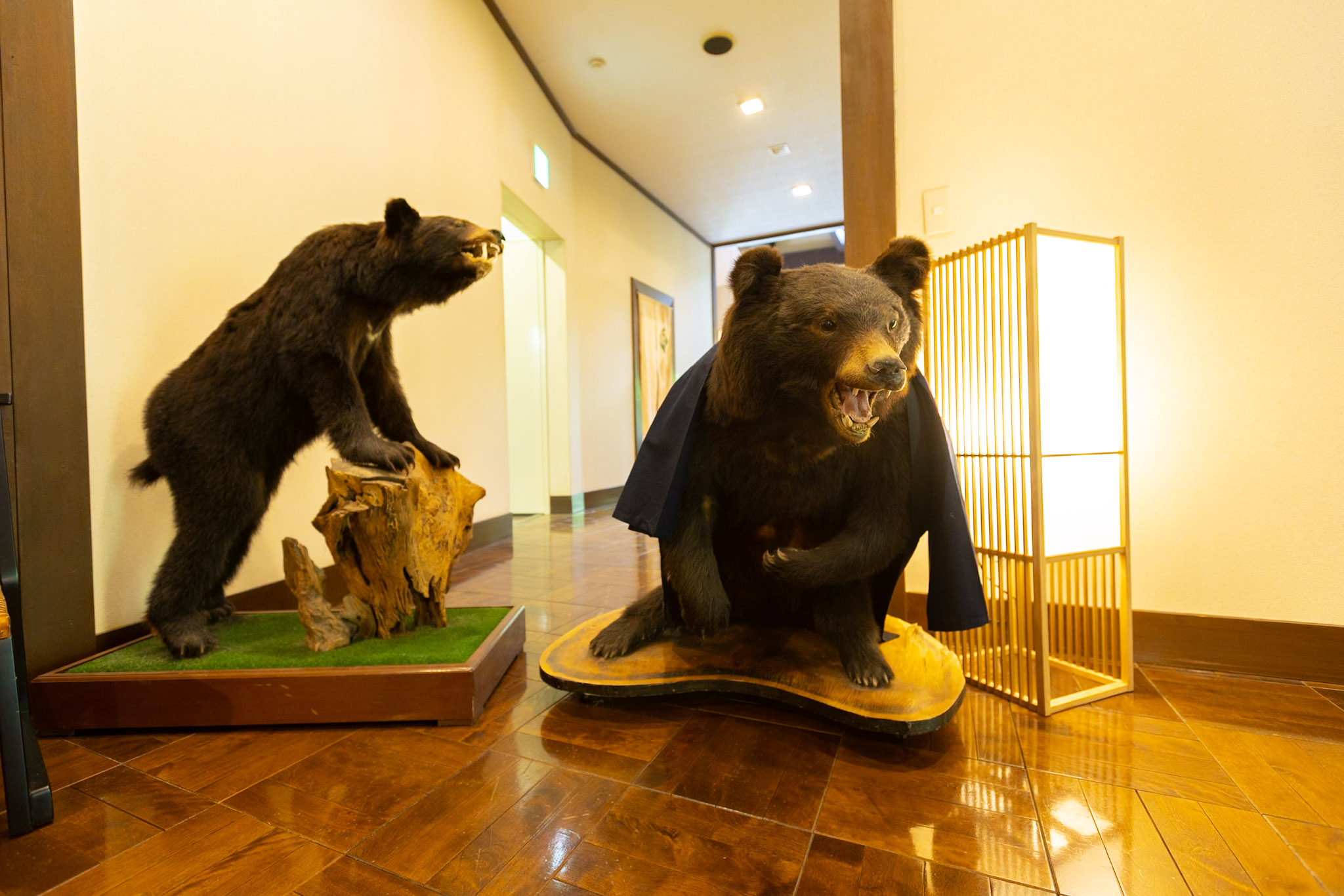 リブマックスリゾート川俣温泉 - 写真 73